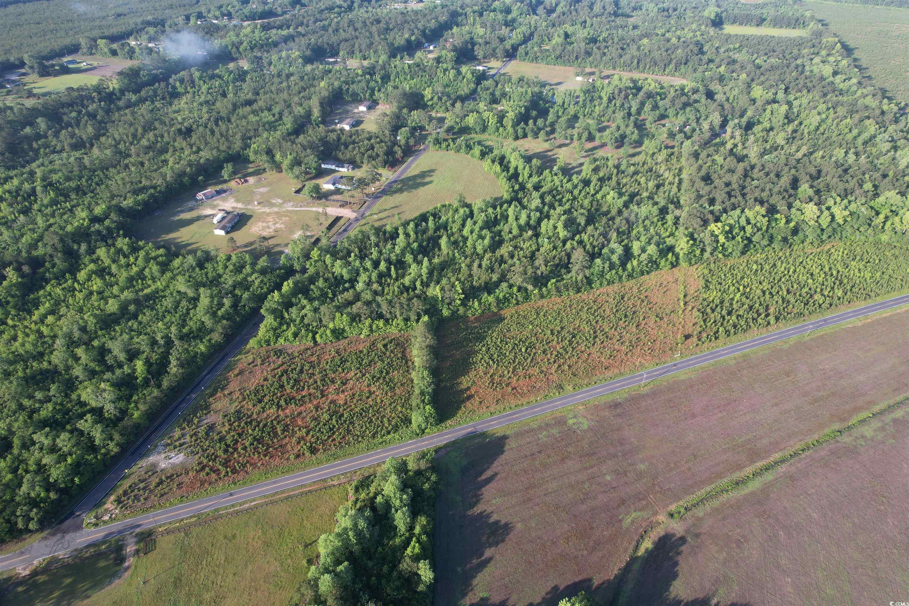 5 Acres Lot 2 Old Pee Dee Rd. Property Photo 6