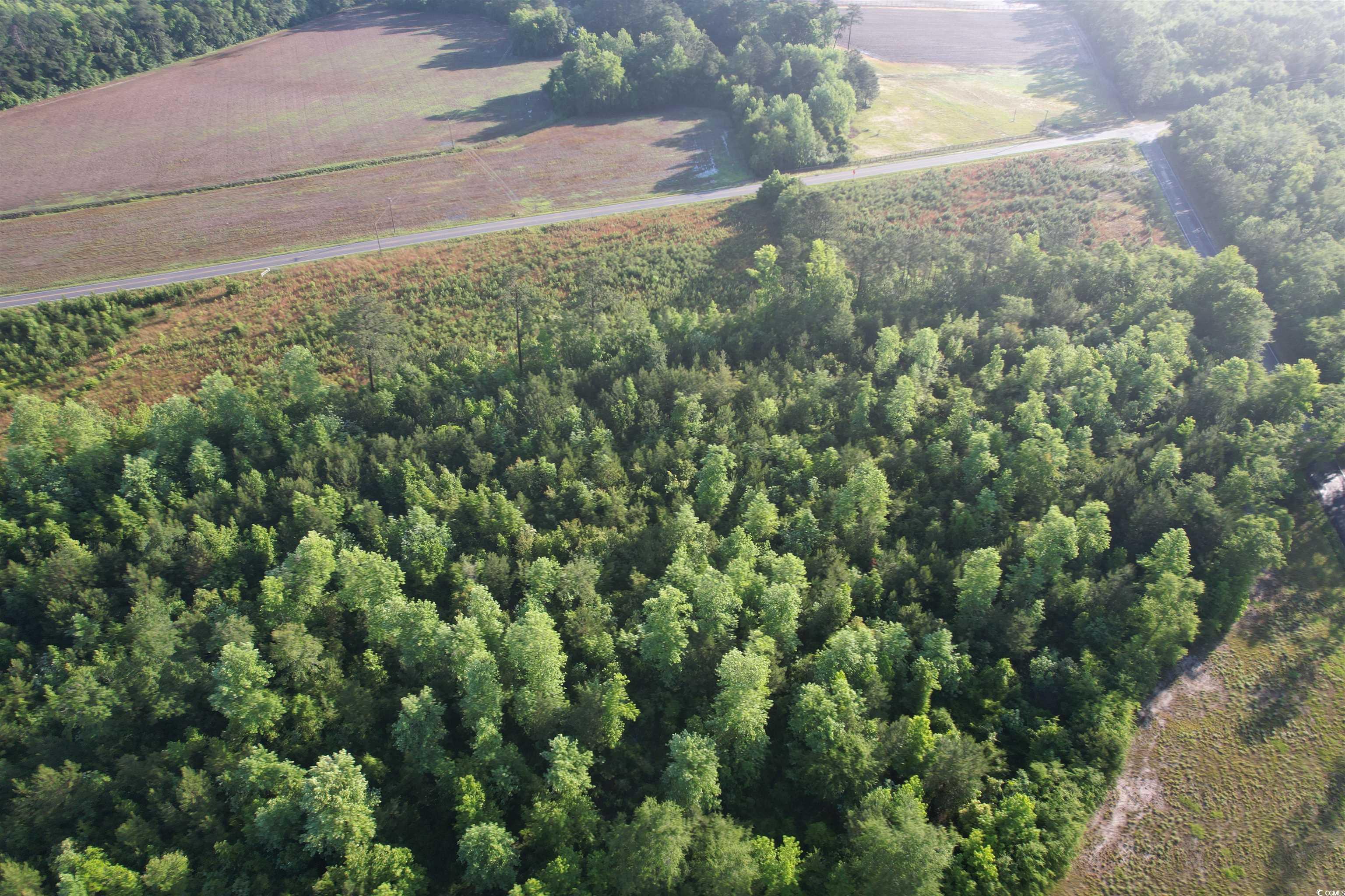 5 Acres Lot 2 Old Pee Dee Rd. Property Photo 7