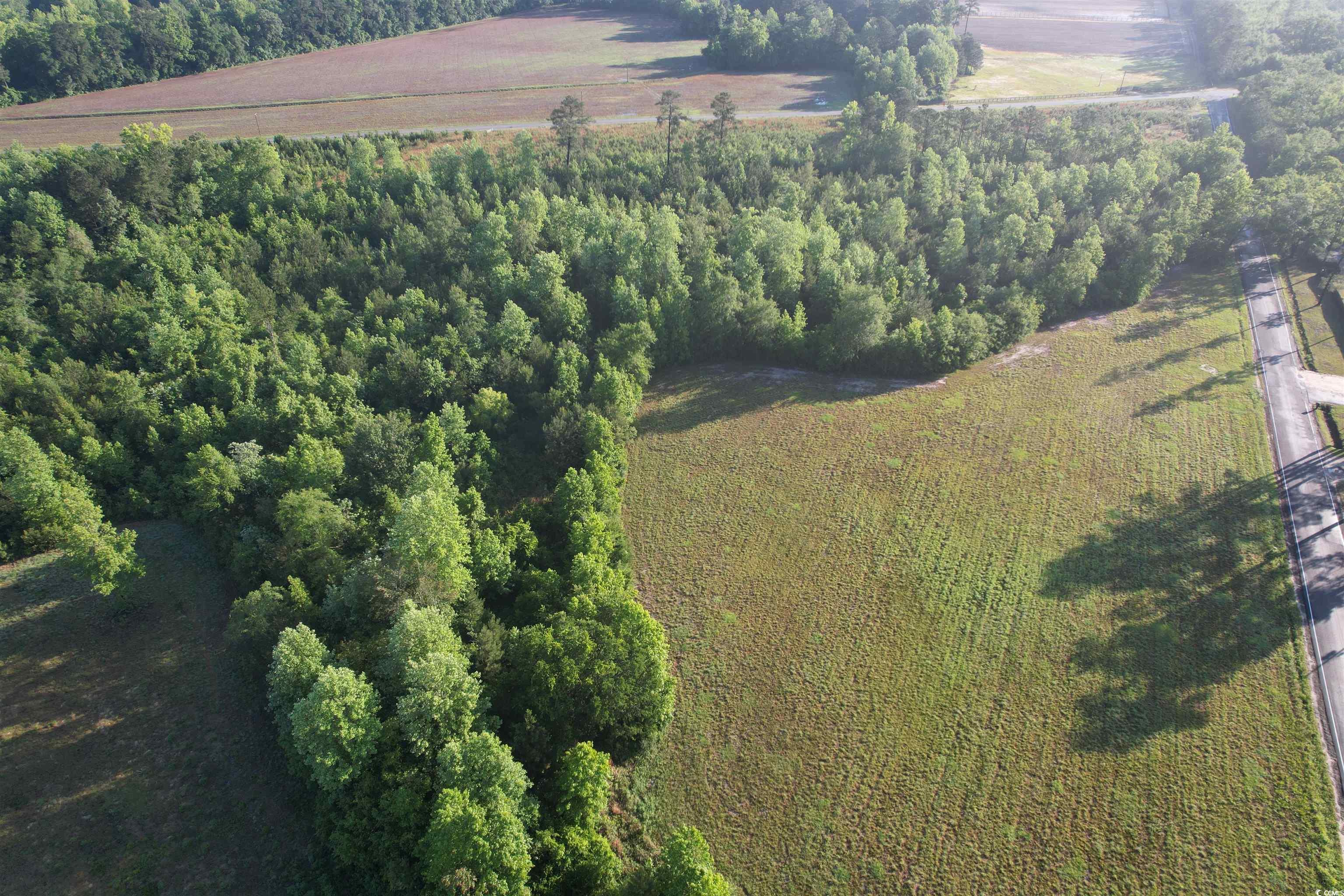 5 Acres Lot 2 Old Pee Dee Rd. Property Photo 8