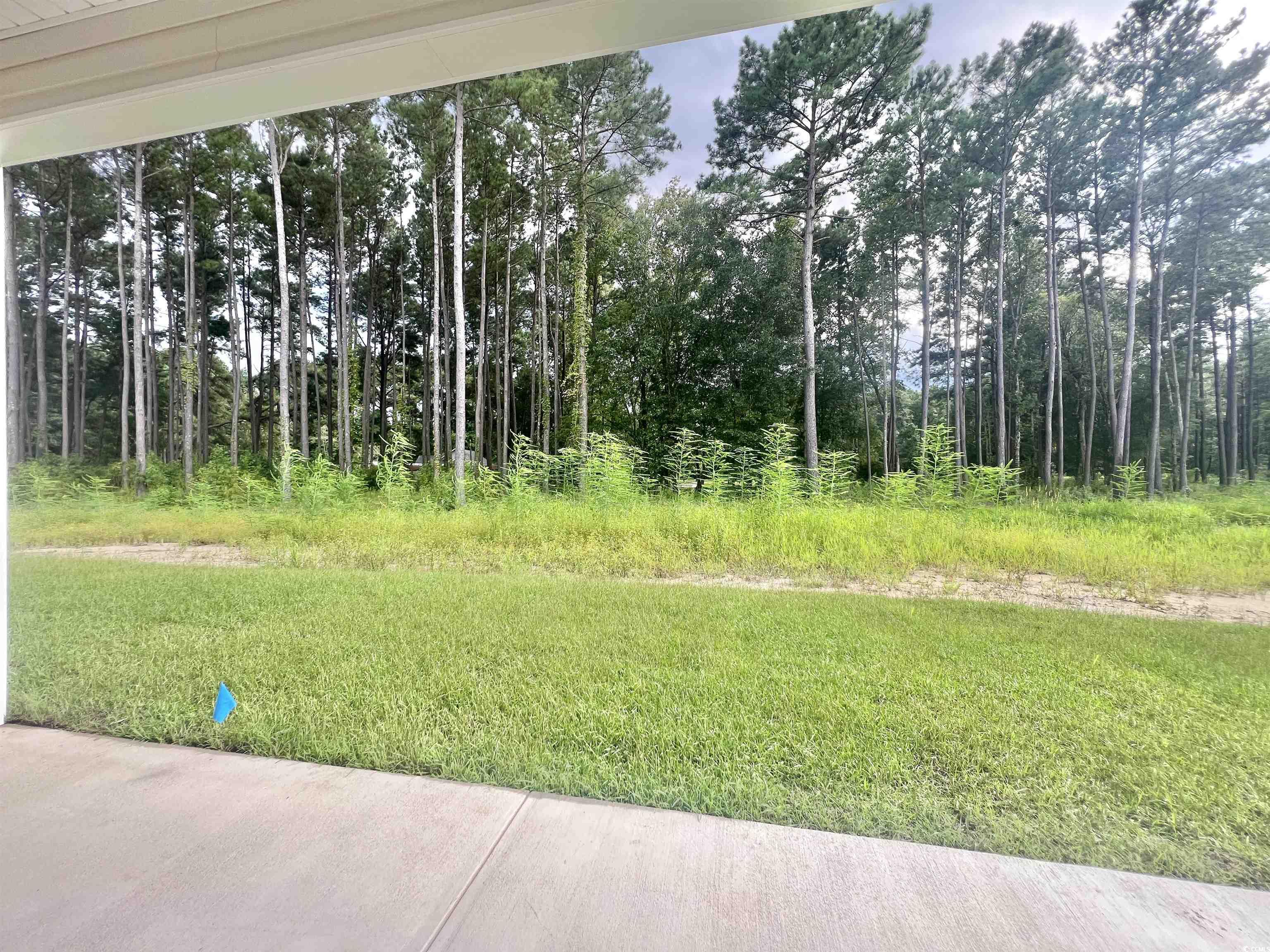 5288 Old Forest Dr. Property Photo 23