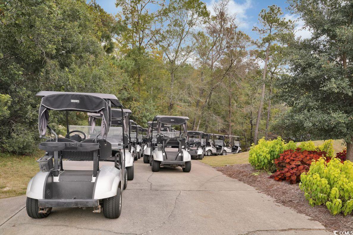 989 Cherrystone Loop Property Photo 25