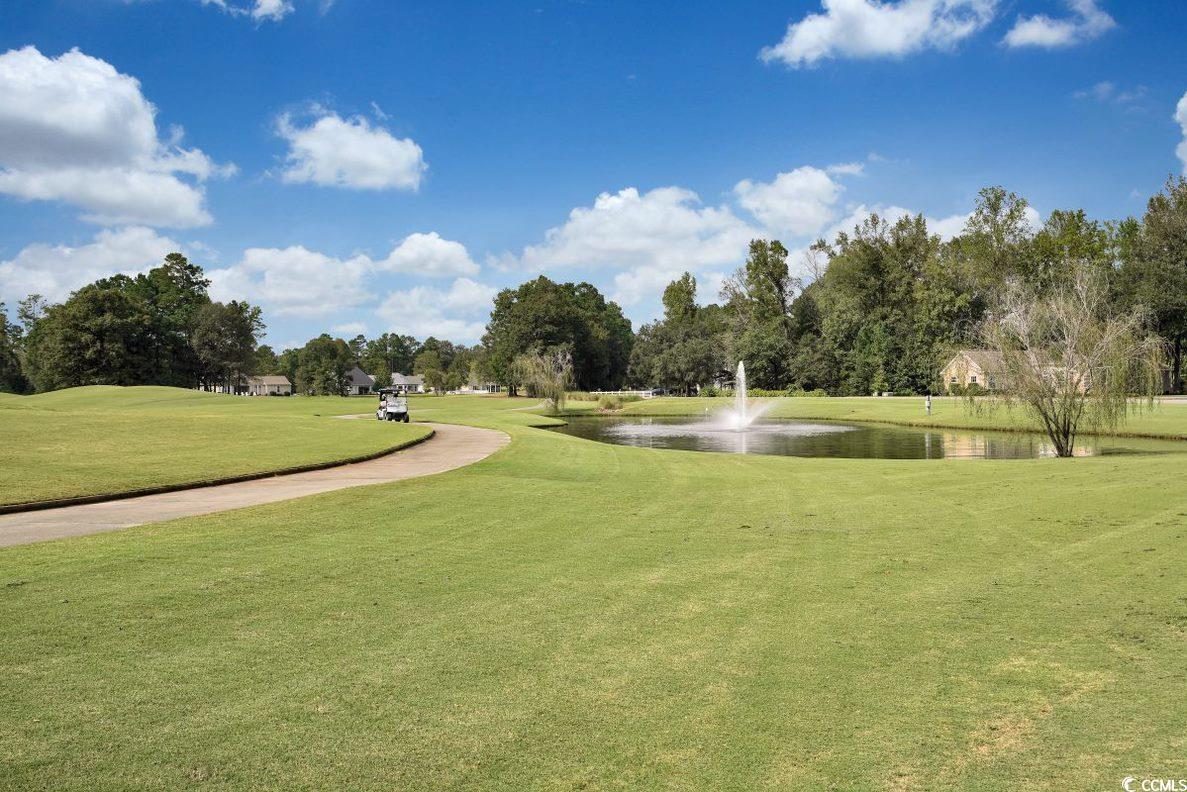 989 Cherrystone Loop Property Photo 26