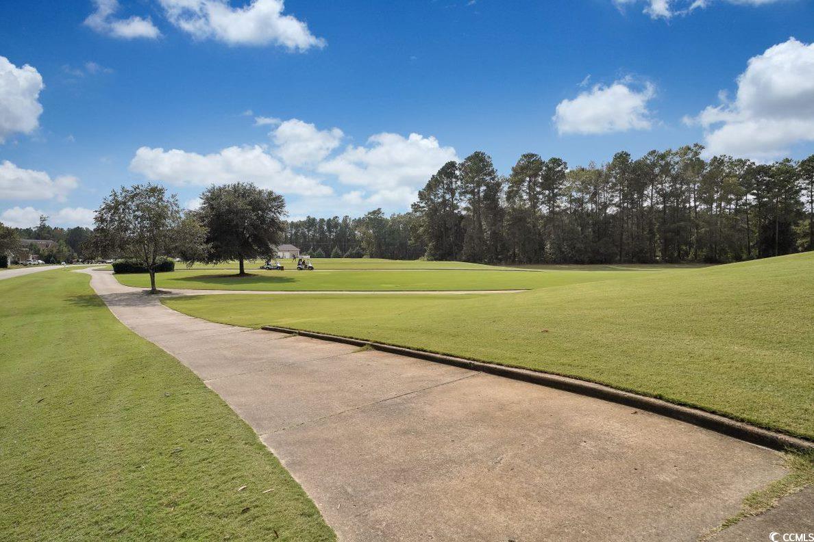 989 Cherrystone Loop Property Photo 27