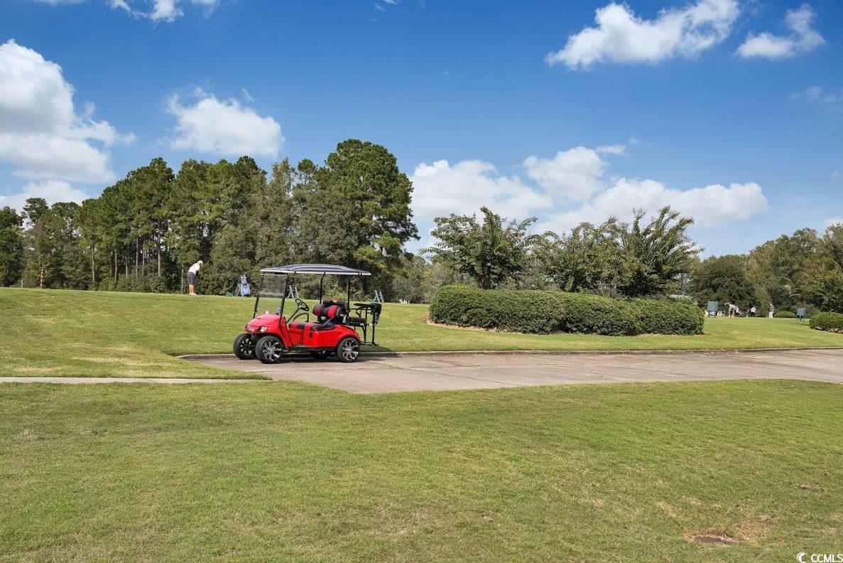 989 Cherrystone Loop Property Photo 28