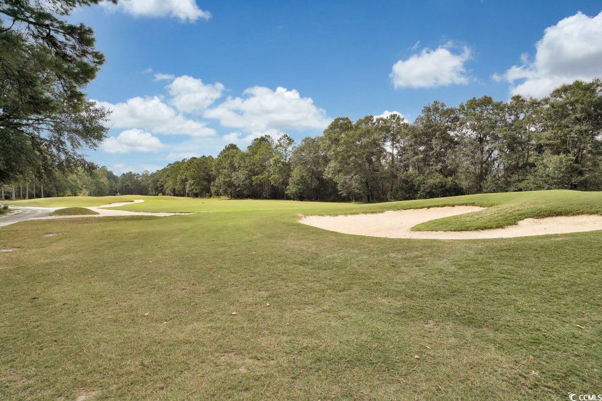 989 Cherrystone Loop Property Photo 29