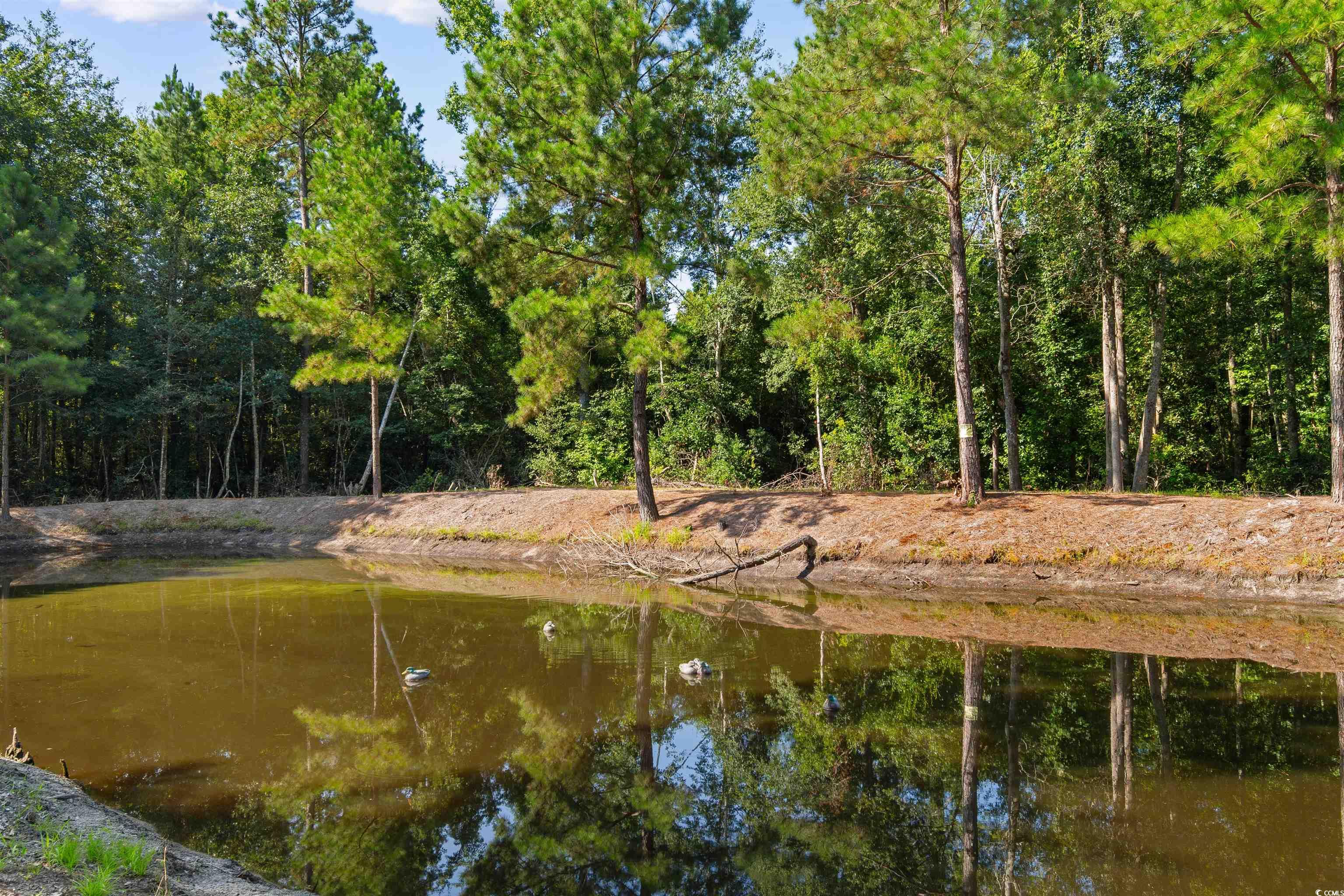 Tbd Cartwheel Rd. Property Photo 3