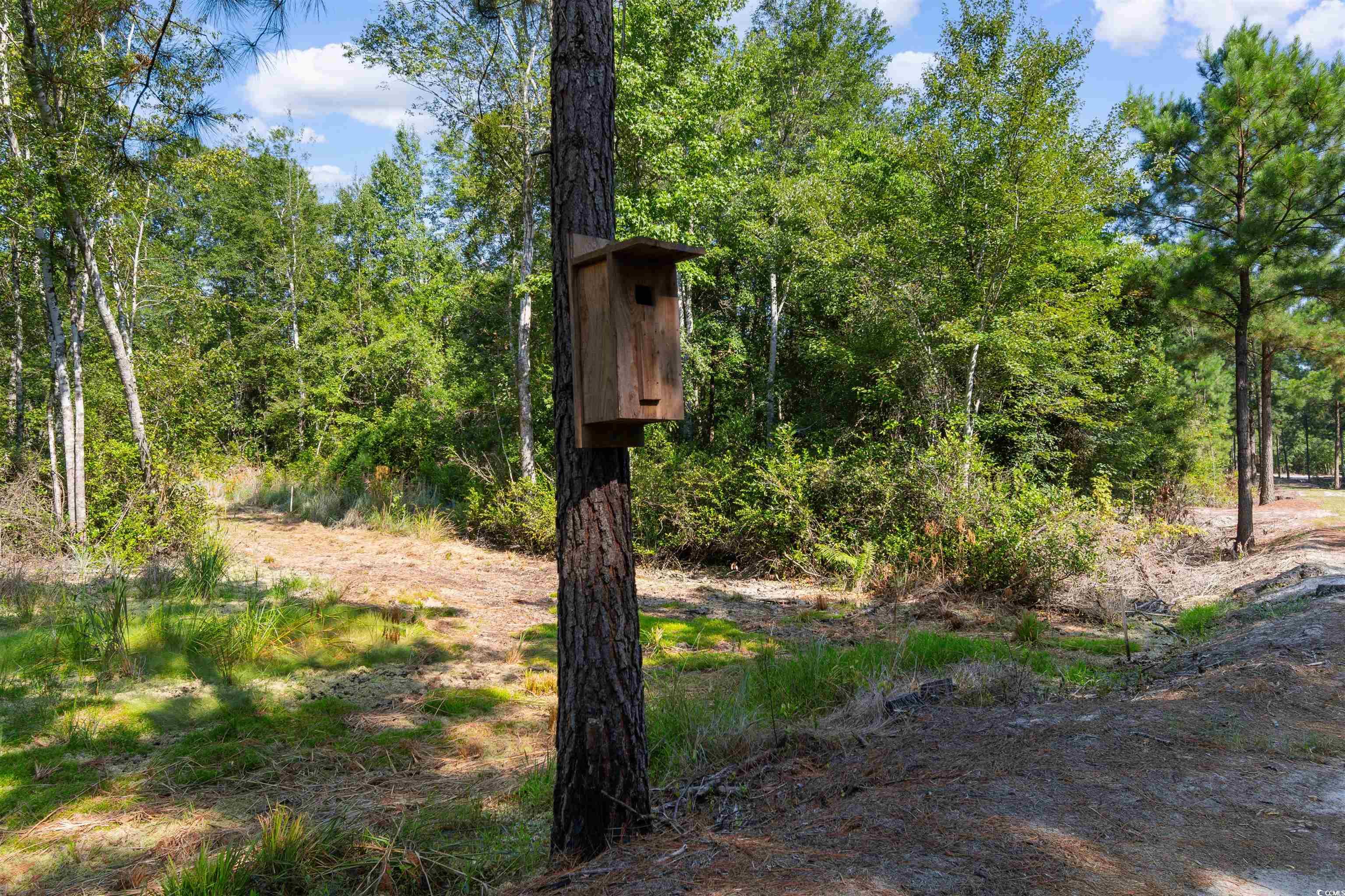 Tbd Cartwheel Rd. Property Photo 5