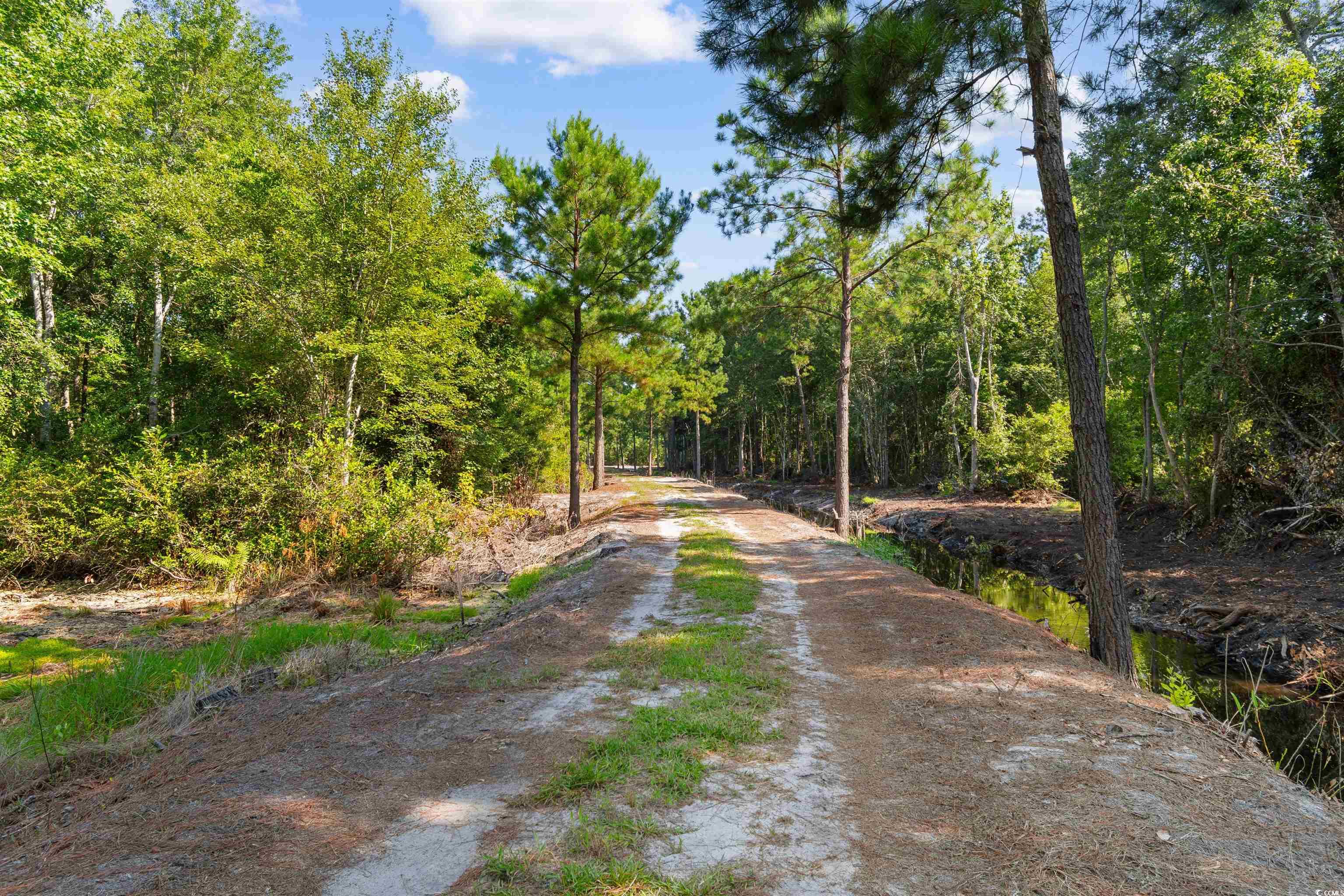 Tbd Cartwheel Rd. Property Photo 6