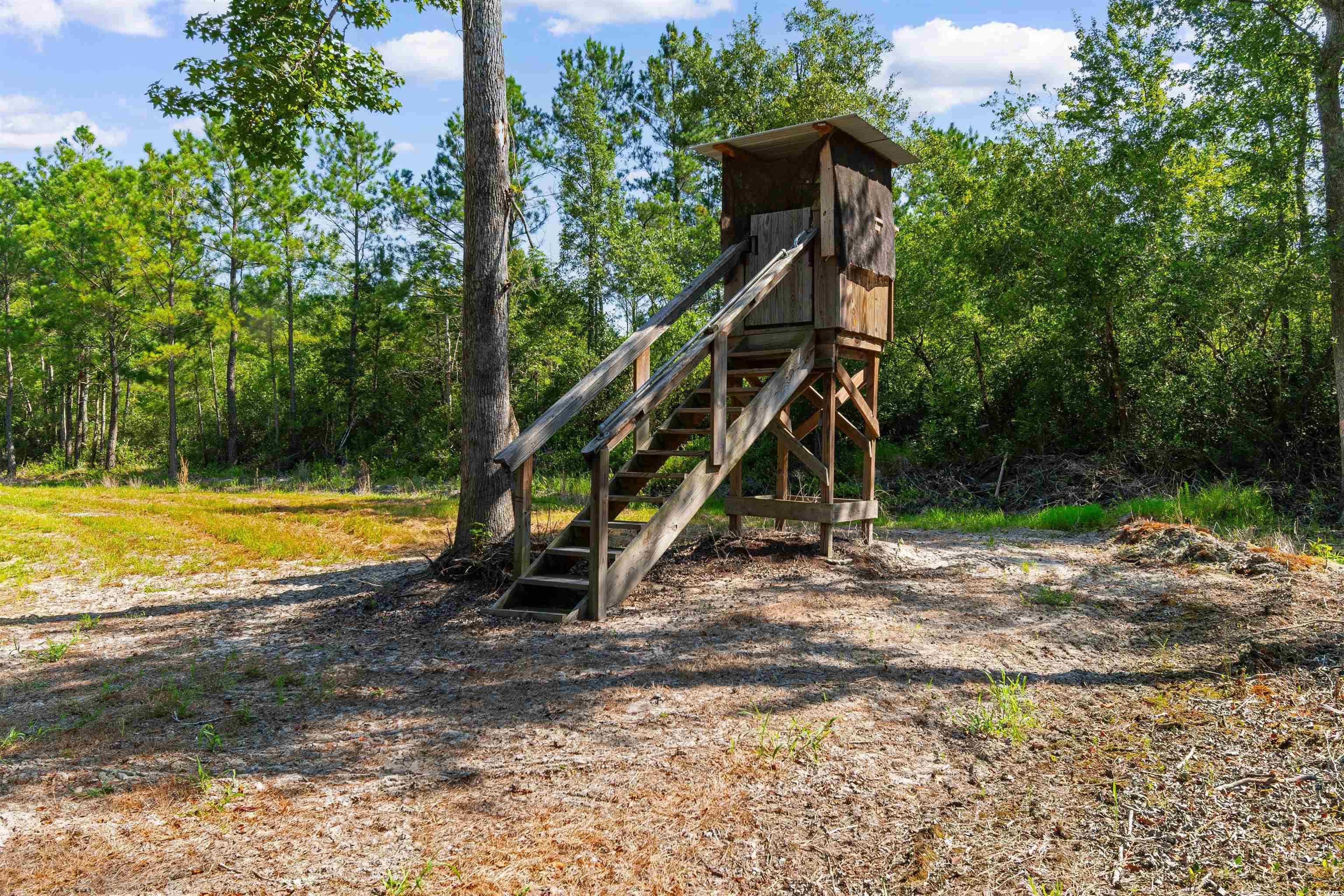 Tbd Cartwheel Rd. Property Photo 7