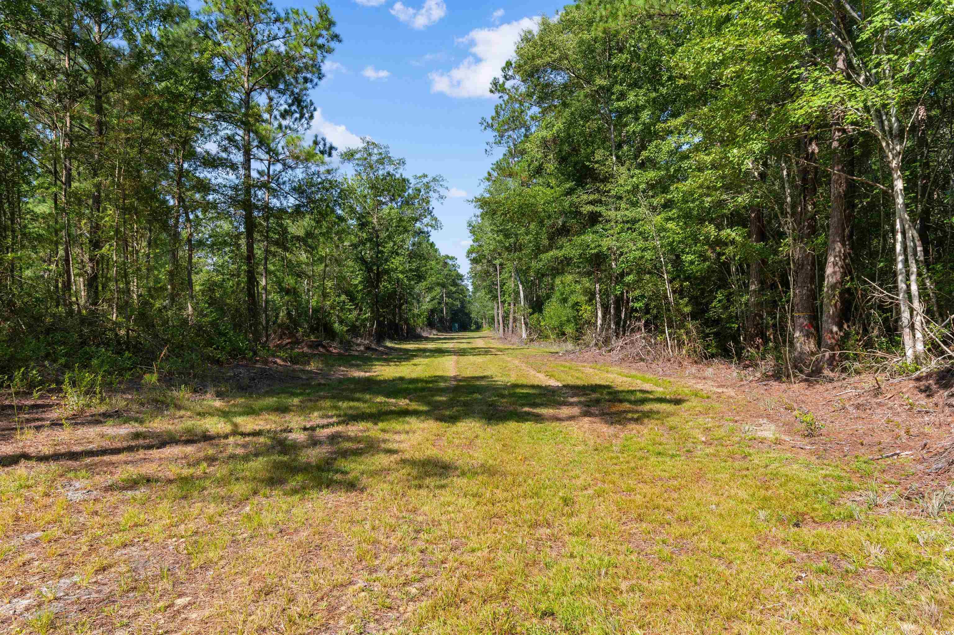 Tbd Cartwheel Rd. Property Photo 9