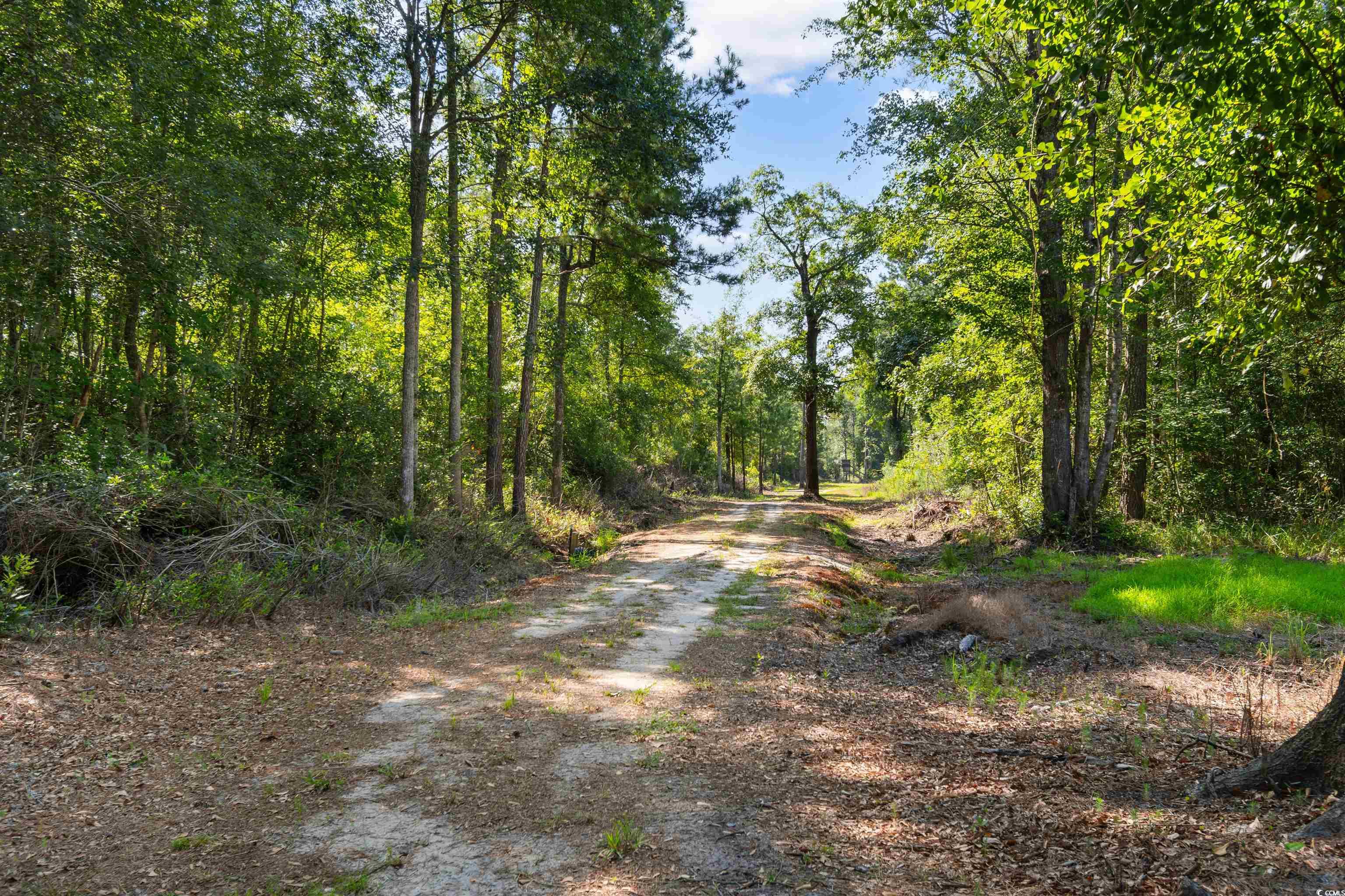 Tbd Cartwheel Rd. Property Photo 10