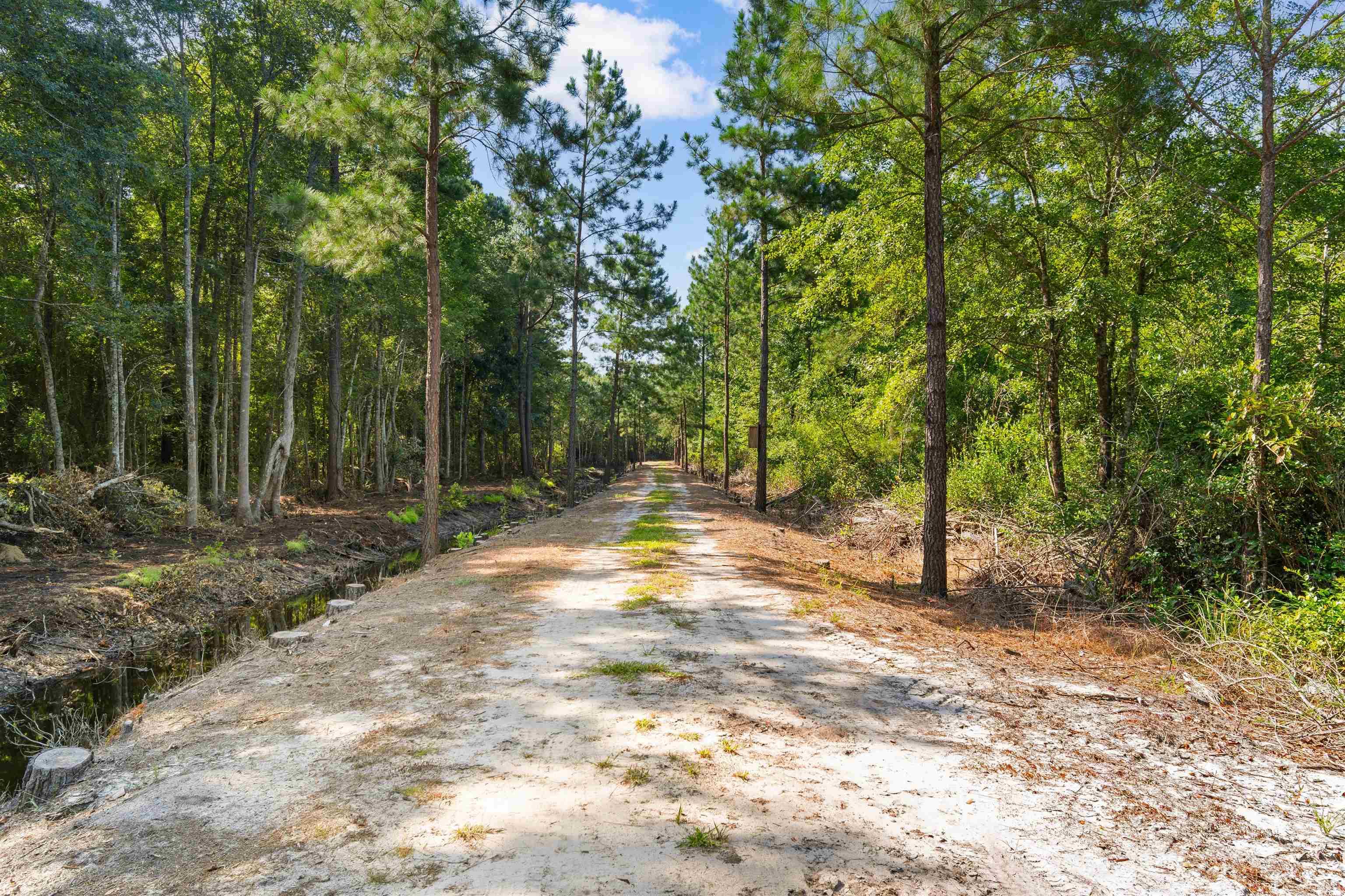 Tbd Cartwheel Rd. Property Photo 11