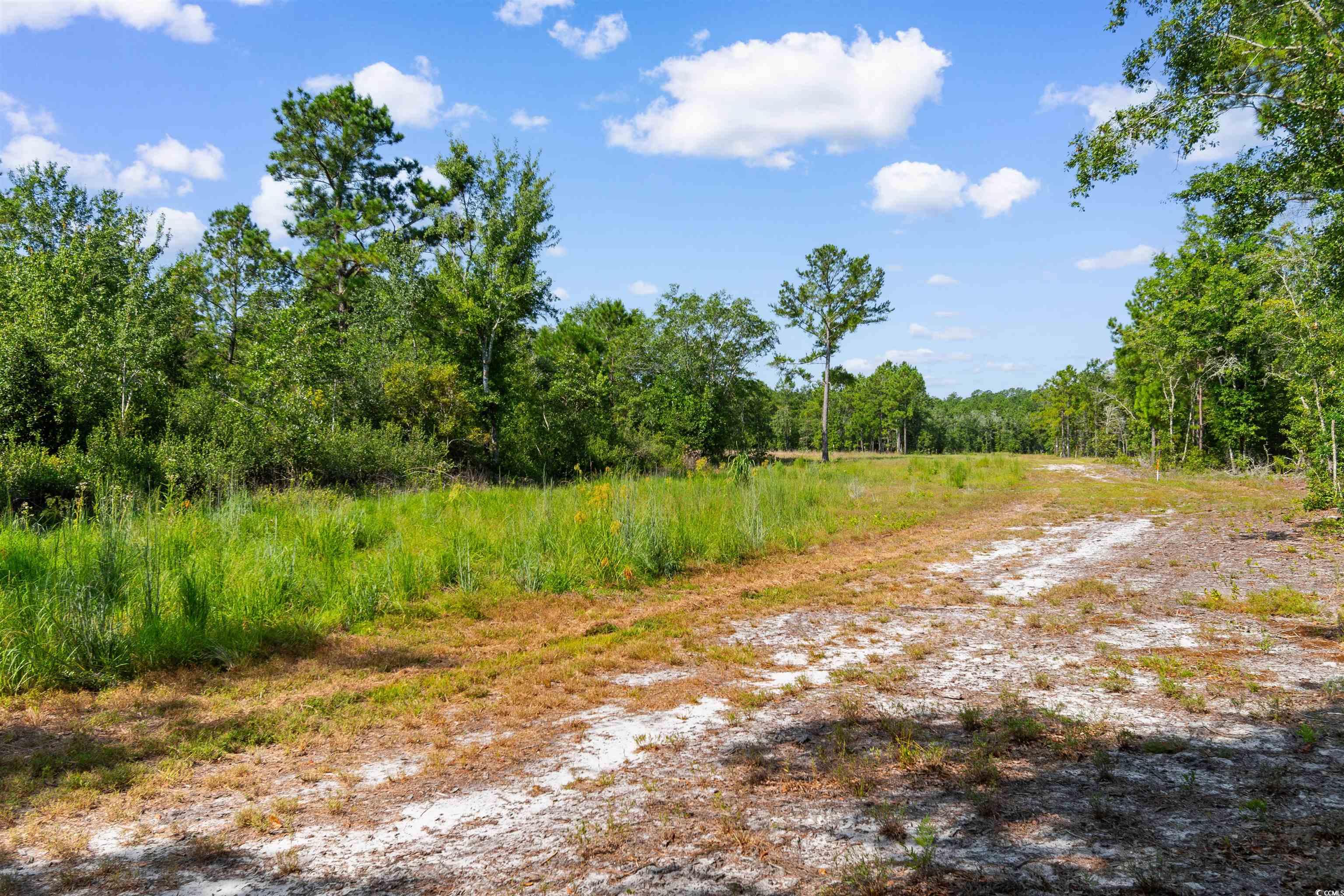 Tbd Cartwheel Rd. Property Photo 12