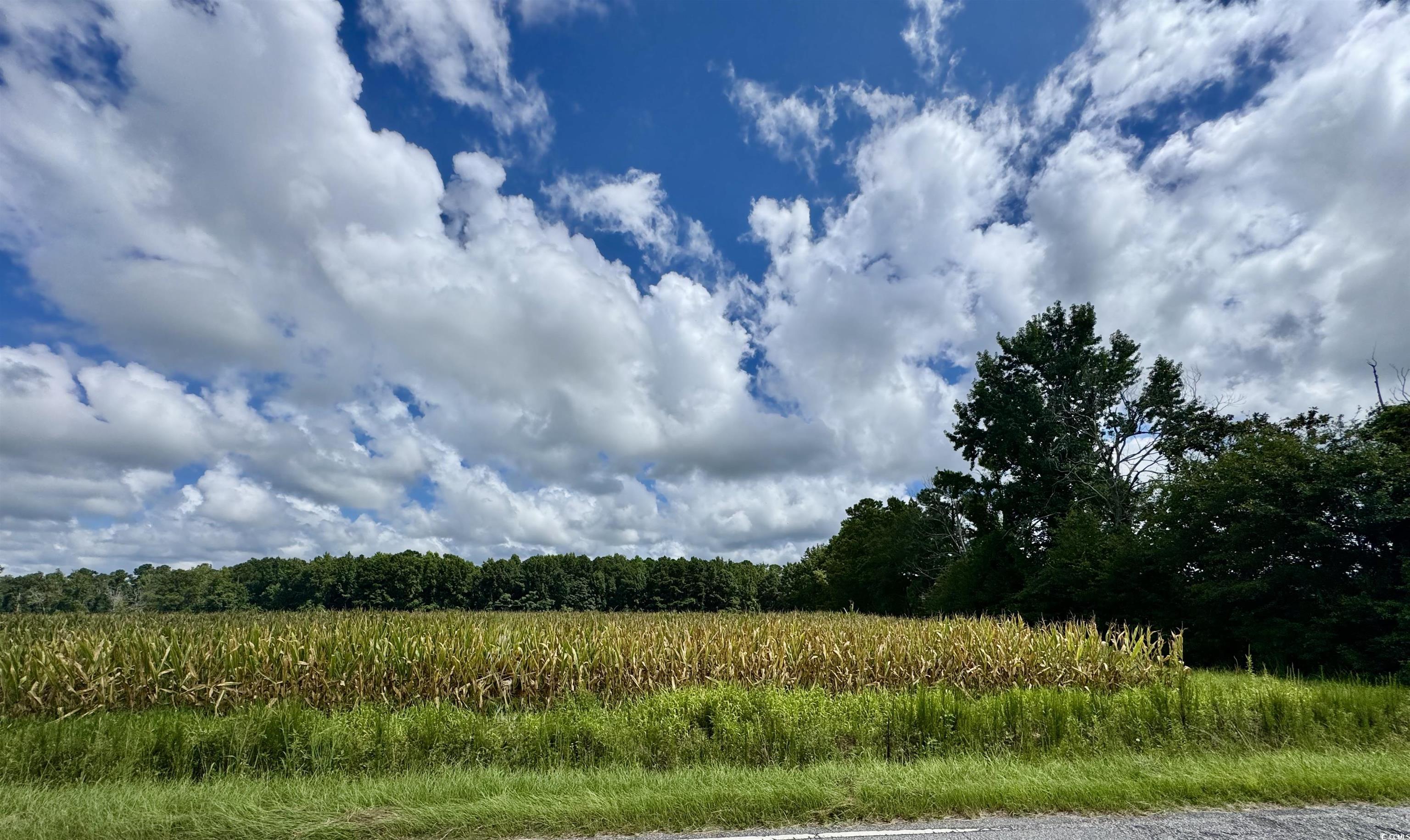 Tbd Pearl Rd. Property Photo 1