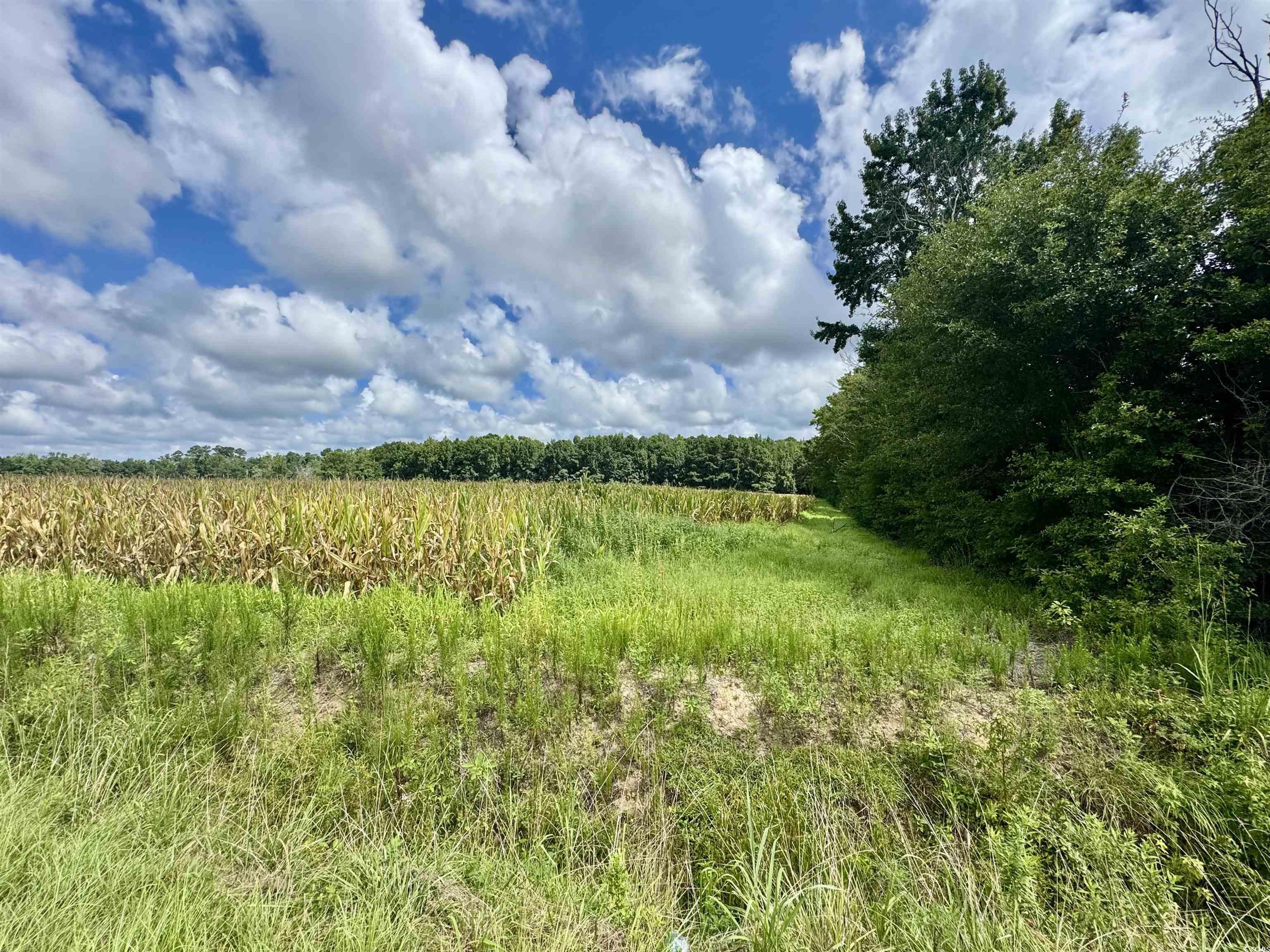 Tbd Pearl Rd. Property Photo 3