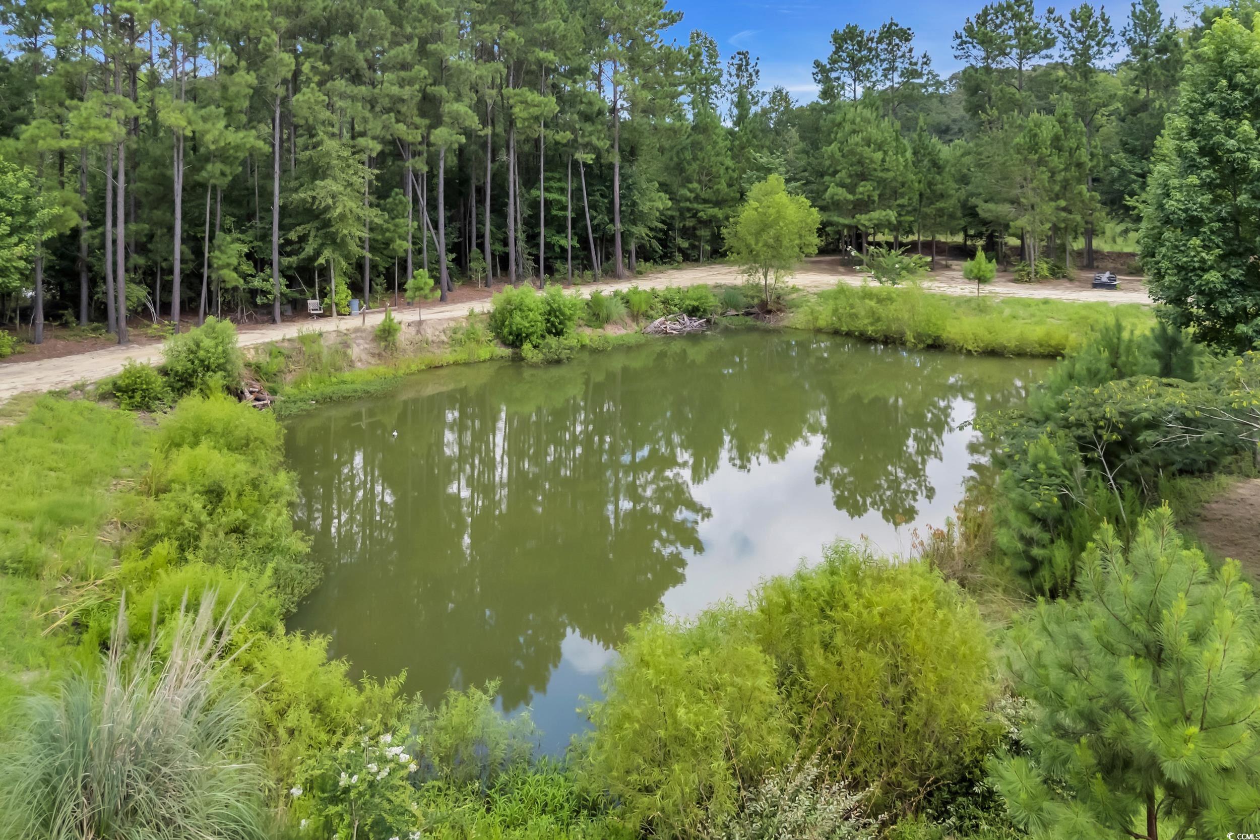 16.5 Acres Whispering Hills Rd. Property Photo 5