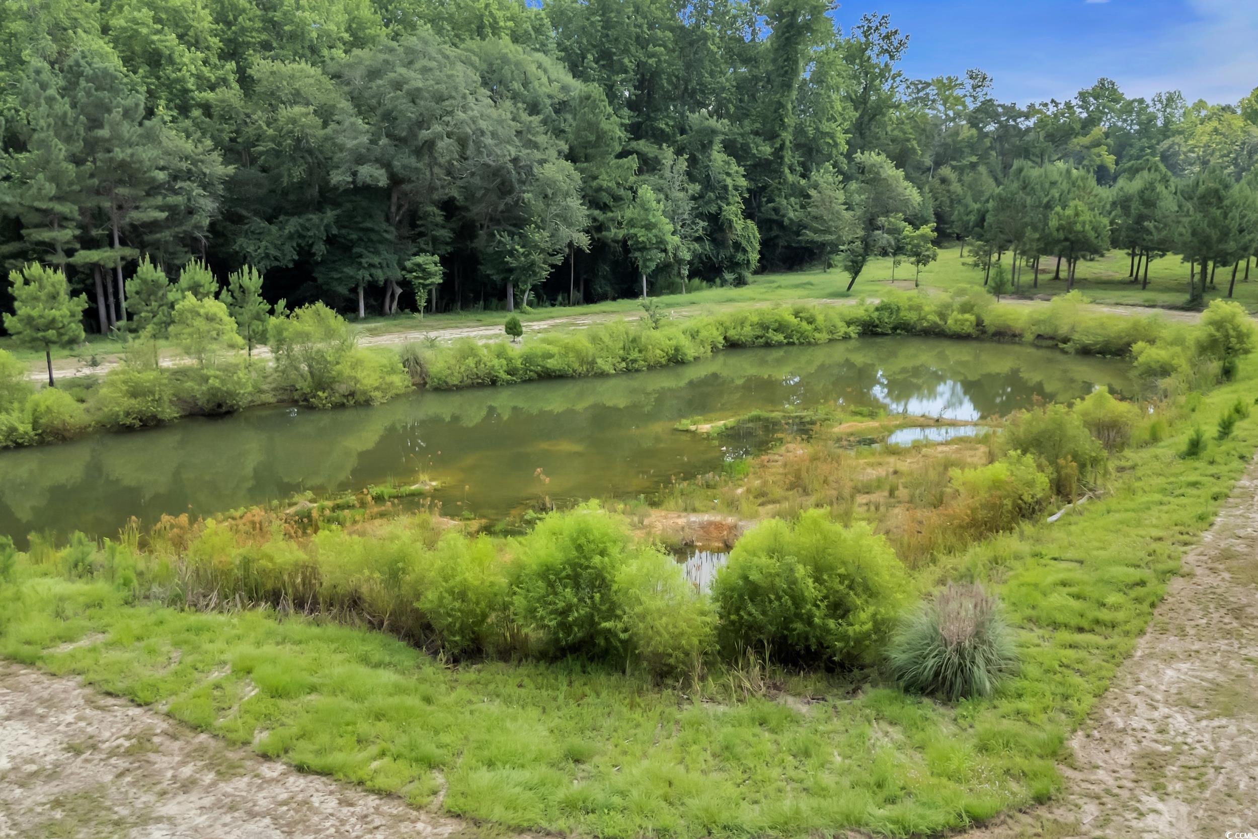 16.5 Acres Whispering Hills Rd. Property Photo 6