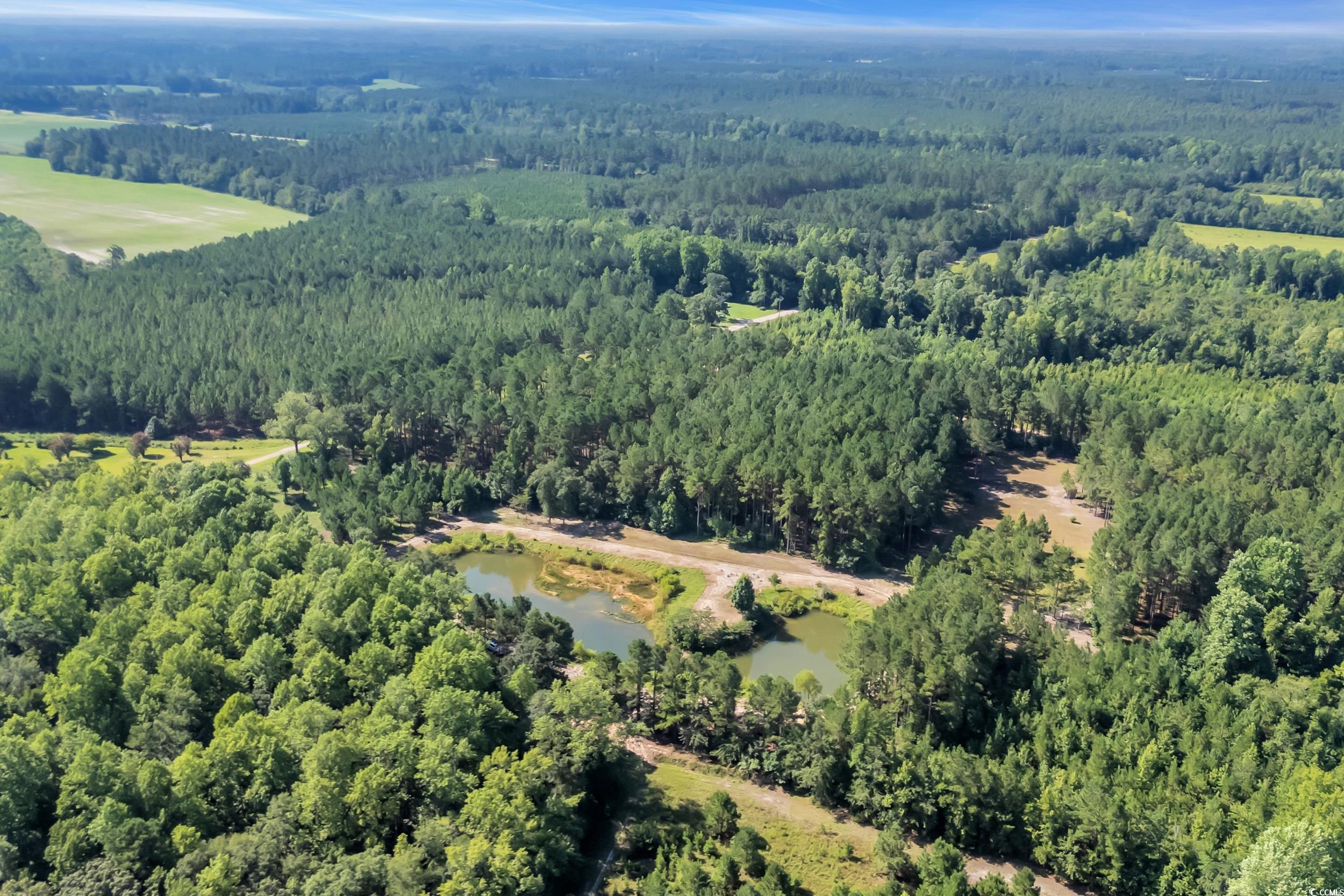 16.5 Acres Whispering Hills Rd. Property Photo 8