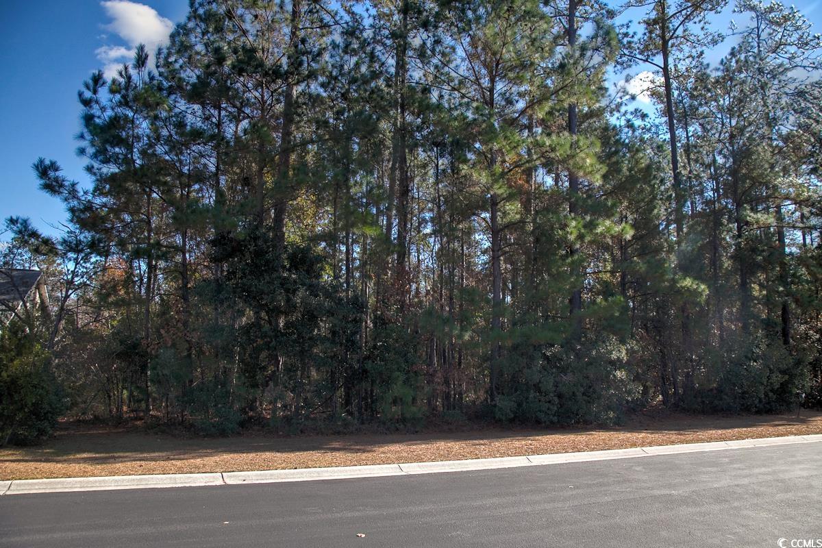 172 Low Country Loop Property Photo 1