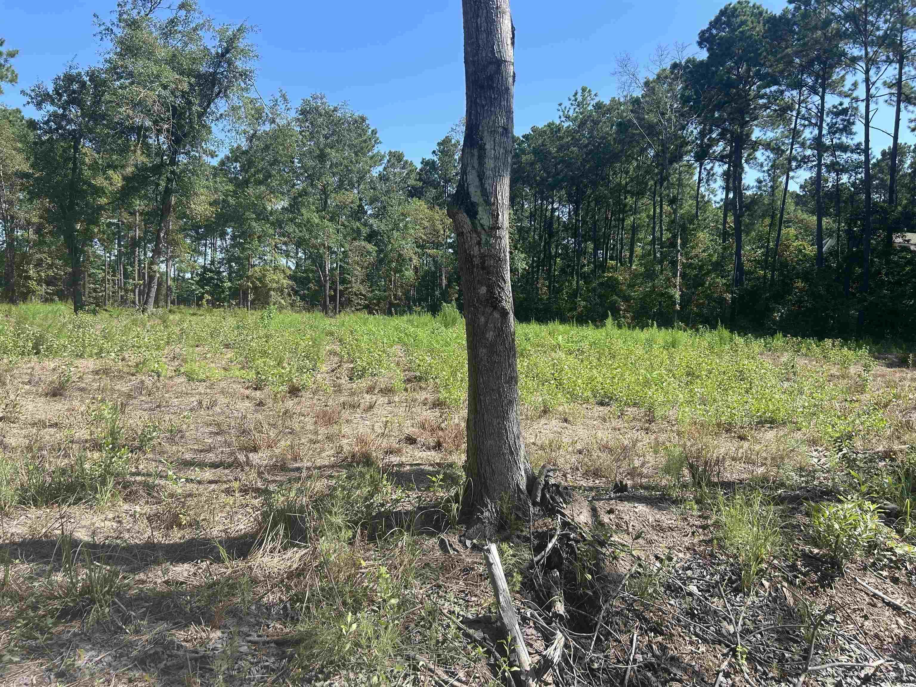 722 Romain Rd. Property Photo 3