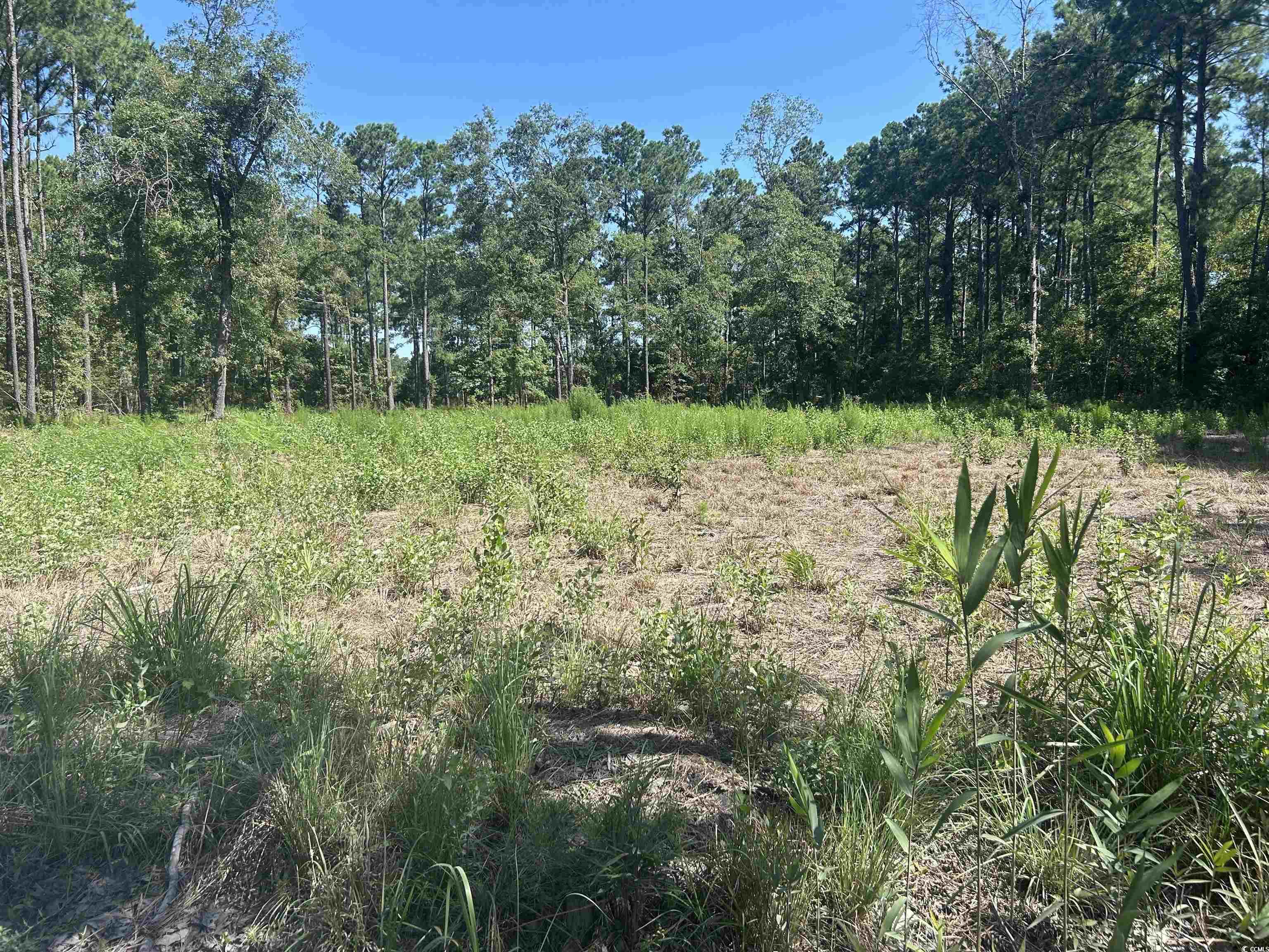 722 Romain Rd. Property Photo 4