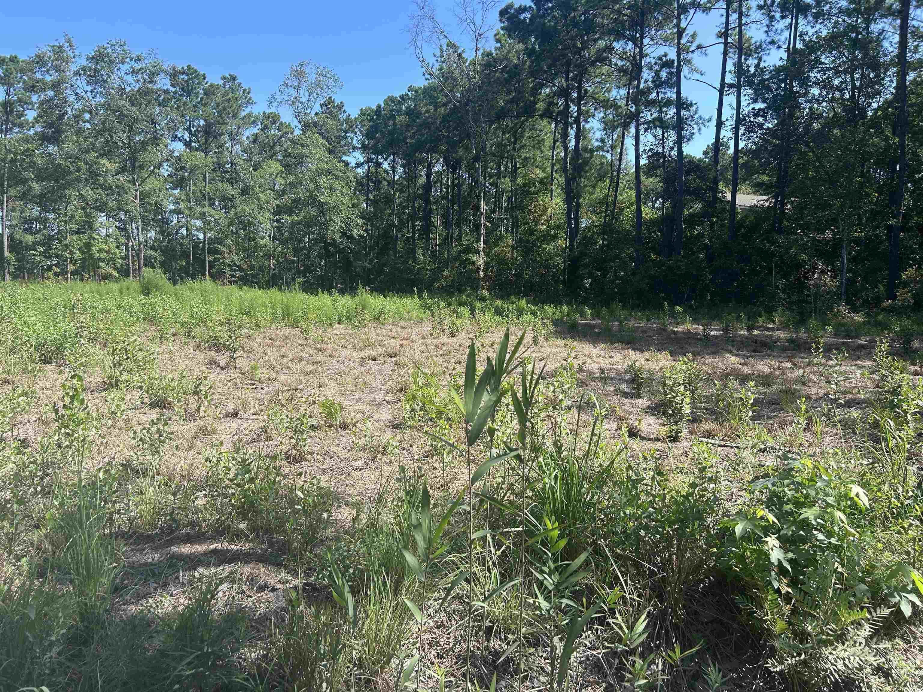 722 Romain Rd. Property Photo 5