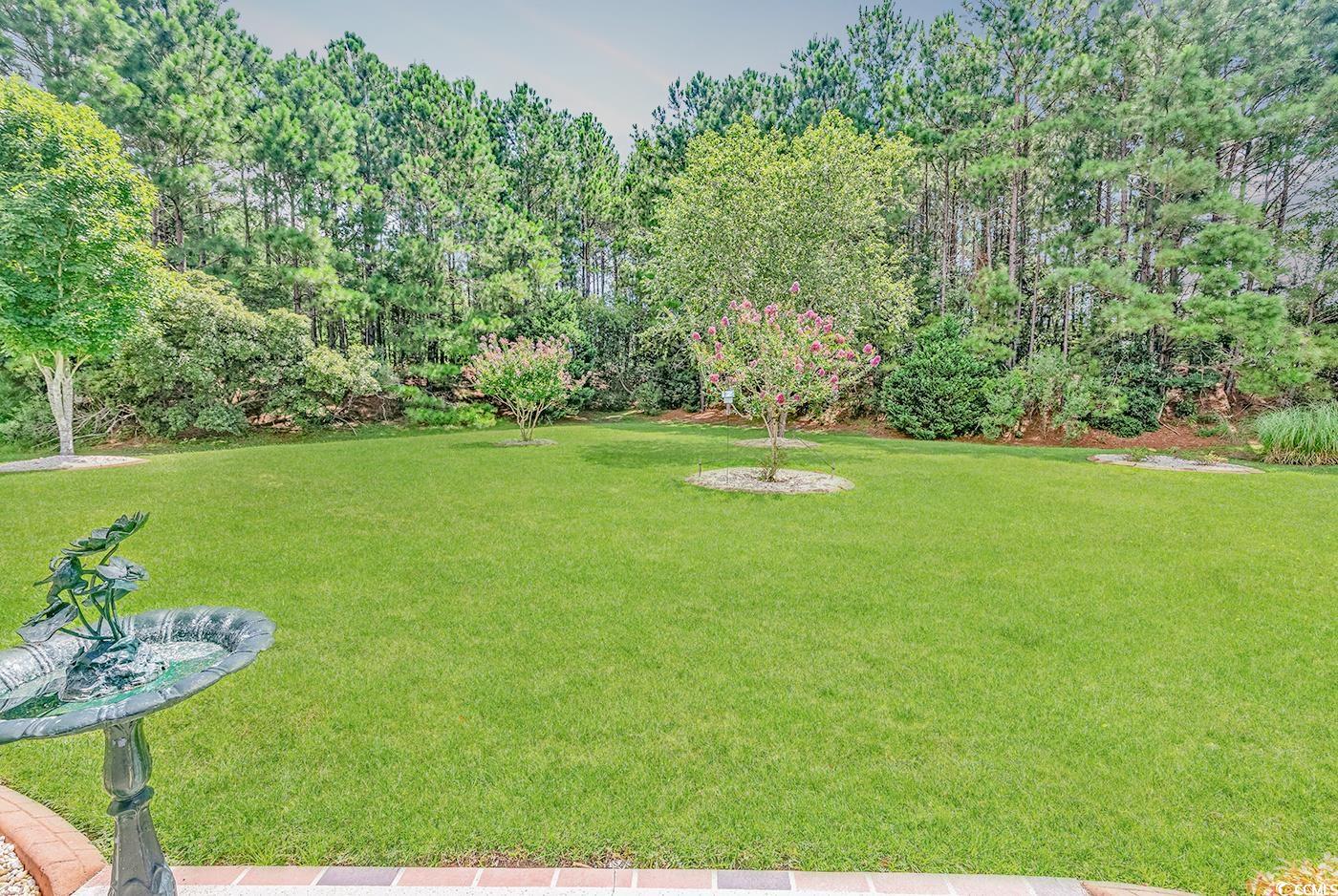 509 Sparkleberry Dr. Property Photo 6