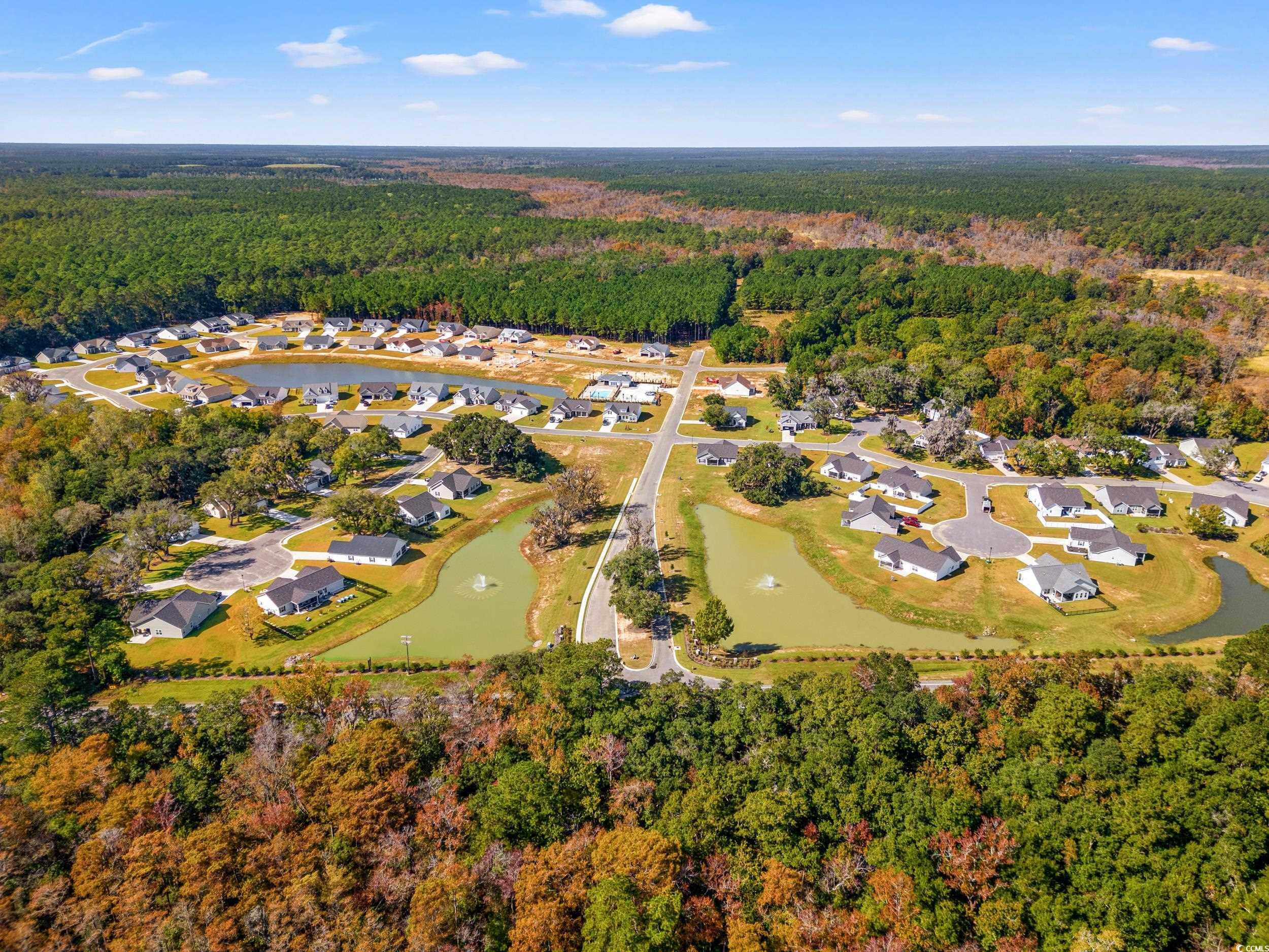 164 Double Pond Dr Property Photo 19