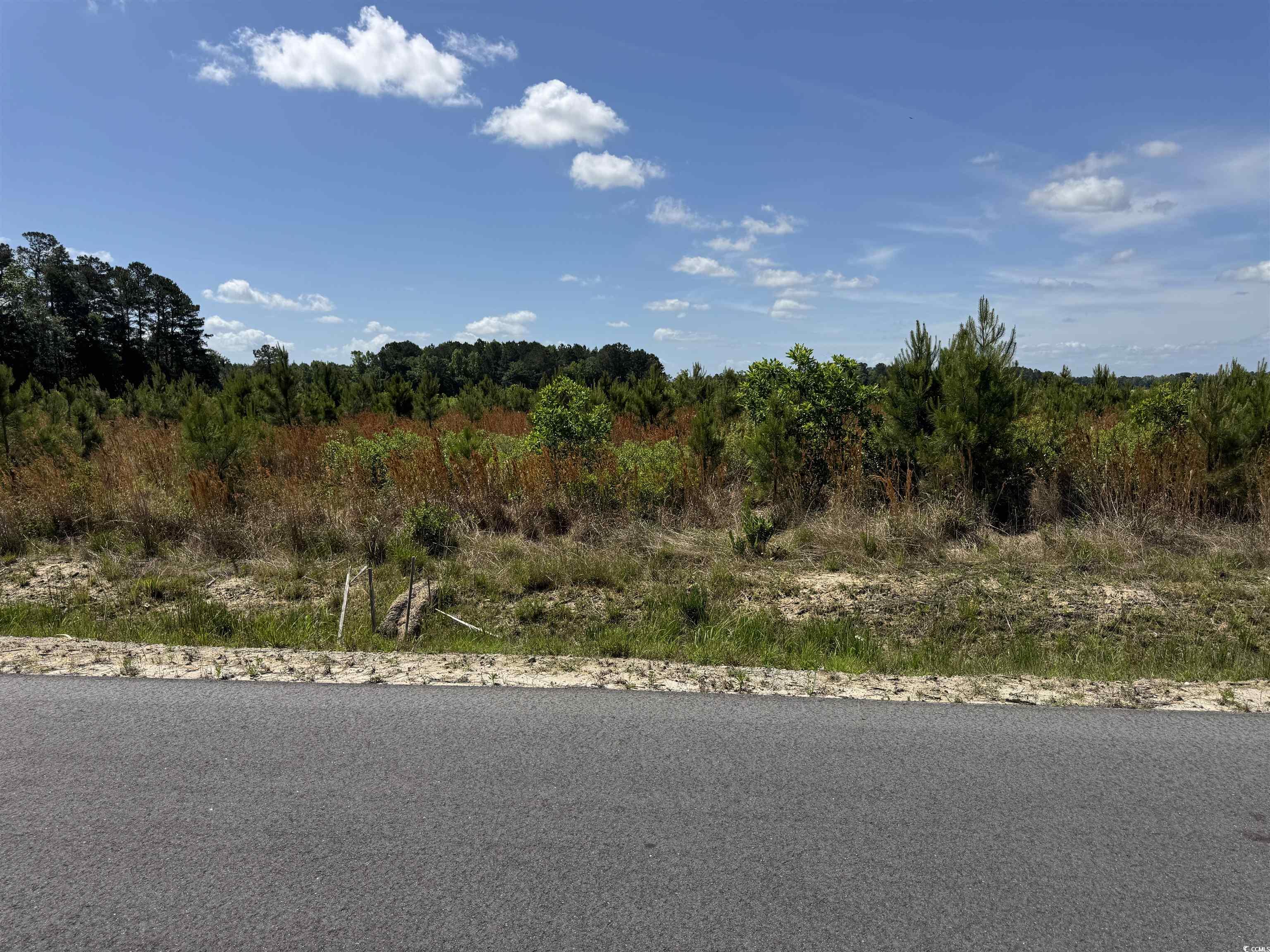 4720 Grainger Circle Property Photo 13