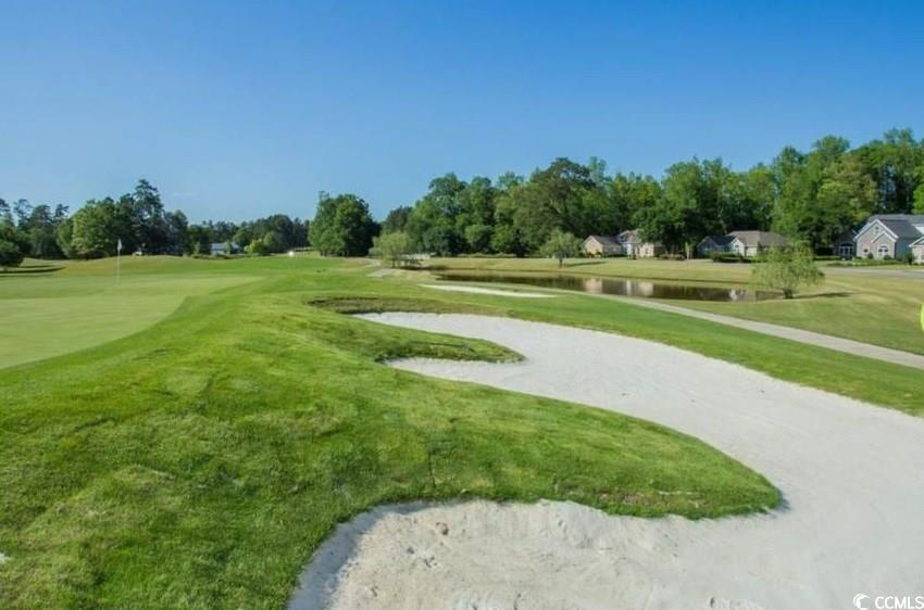 1005 Cherrystone Loop Property Photo 29