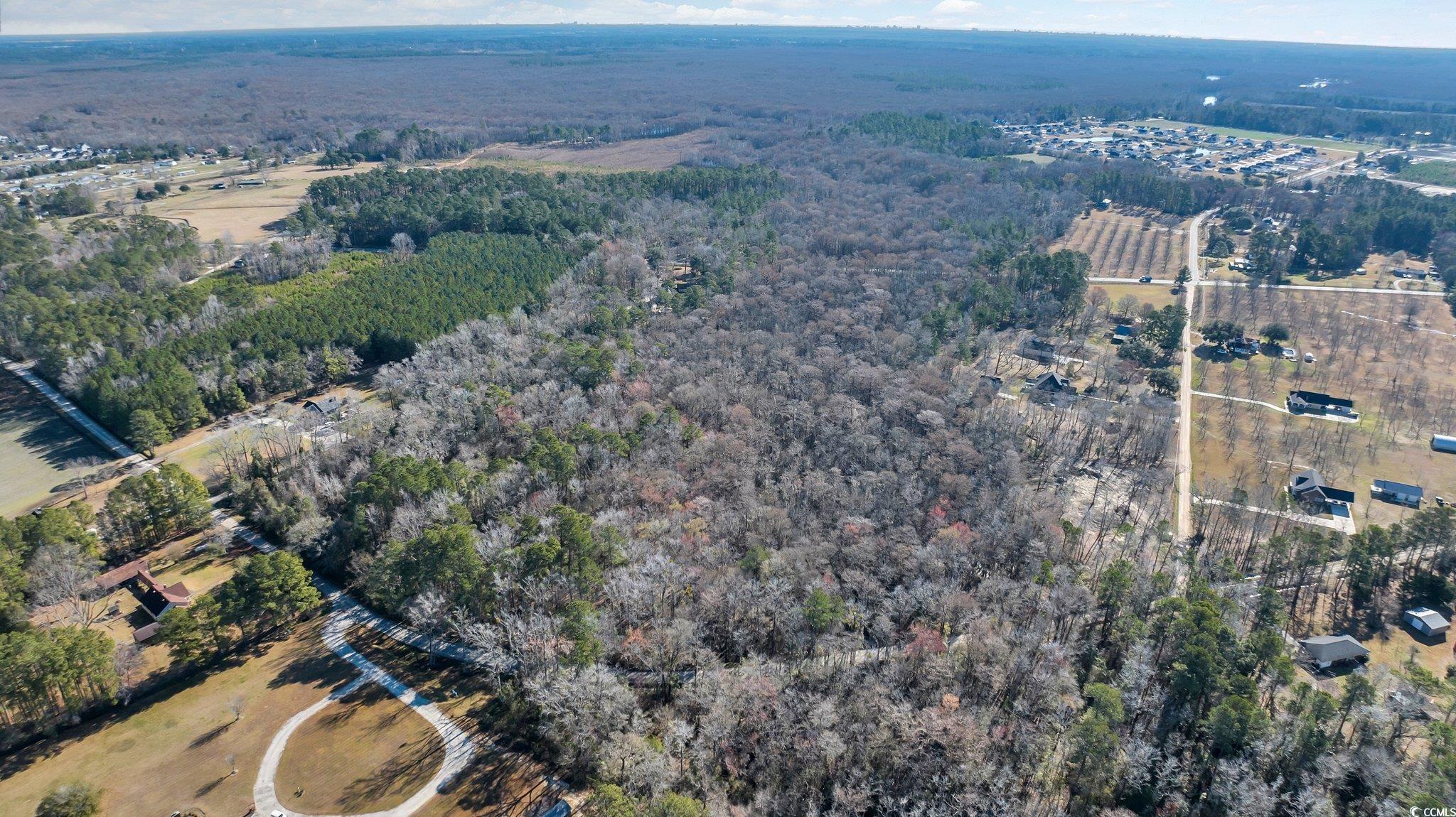 Tbd Reba Rd. Property Photo 2