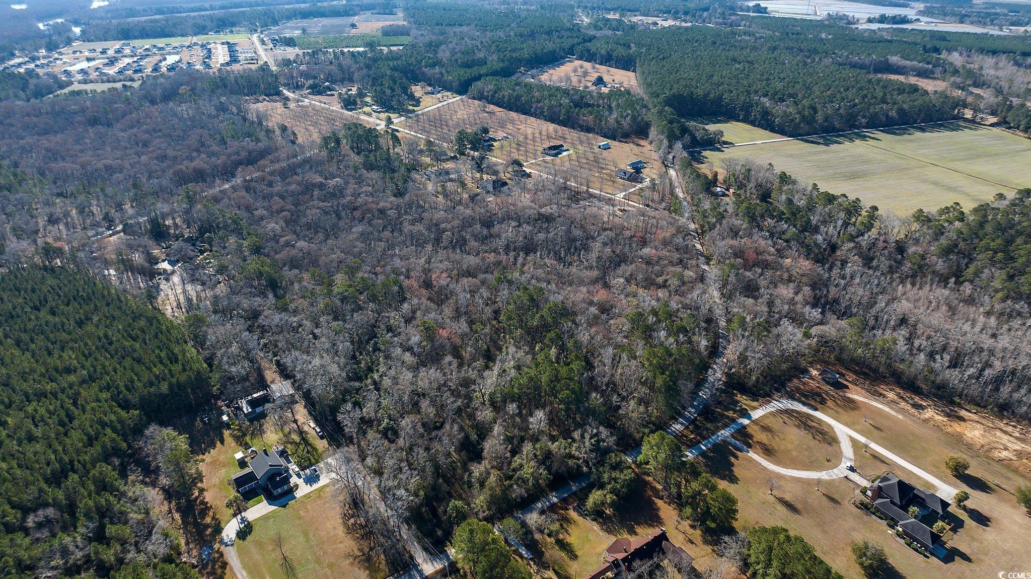 Tbd Reba Rd. Property Photo 4