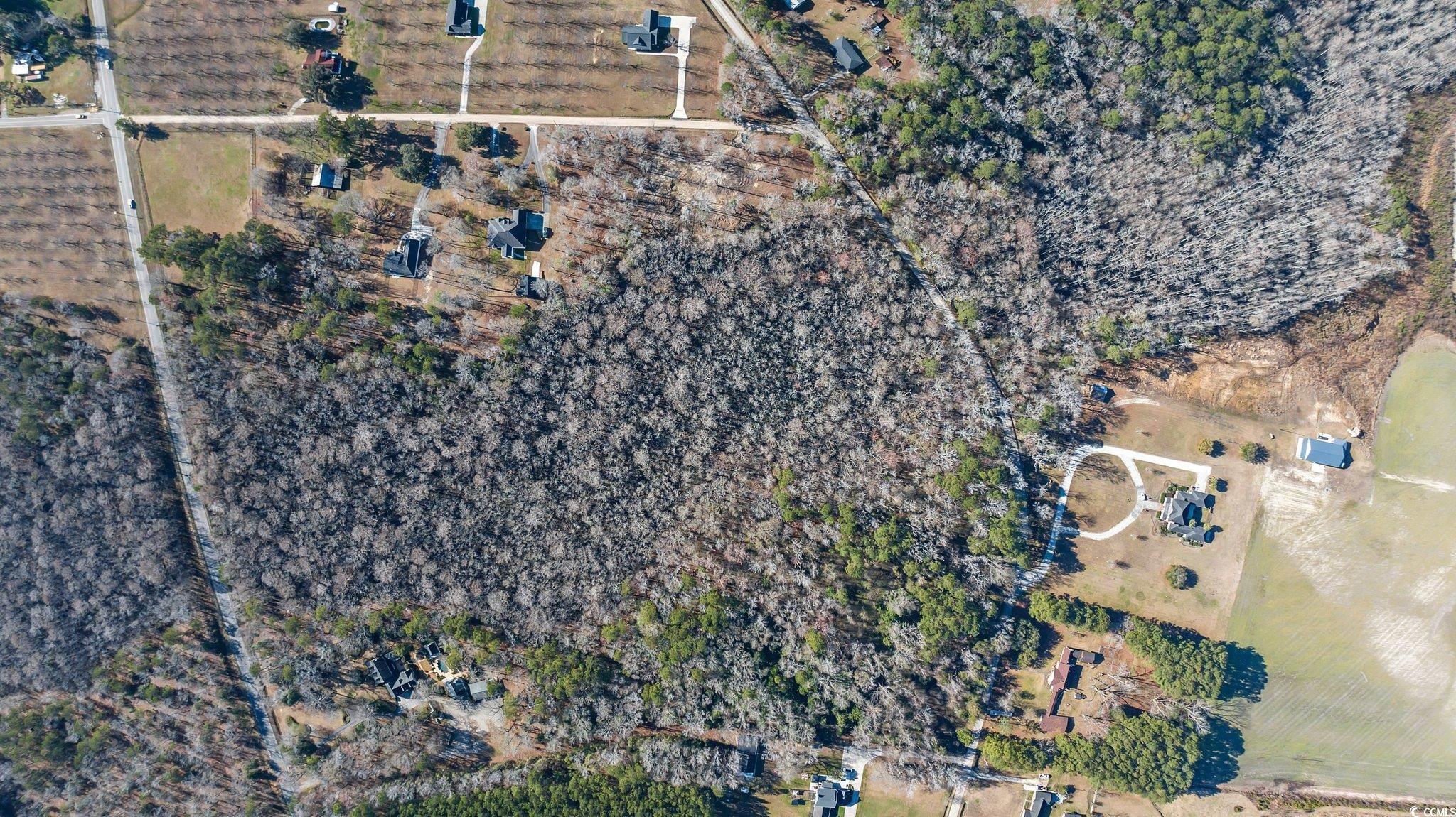 Tbd Reba Rd. Property Photo 6