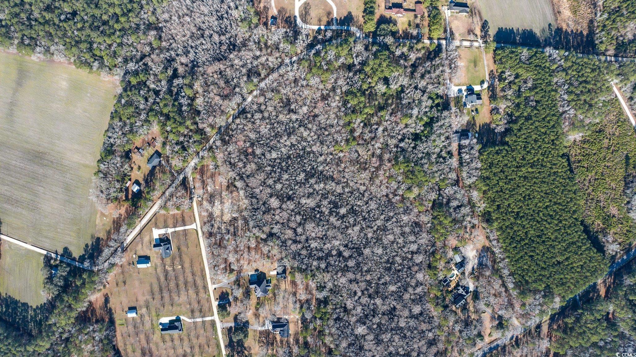 Tbd Reba Rd. Property Photo 7