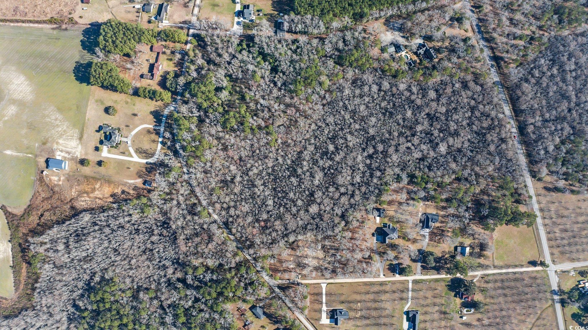 Tbd Reba Rd. Property Photo 8