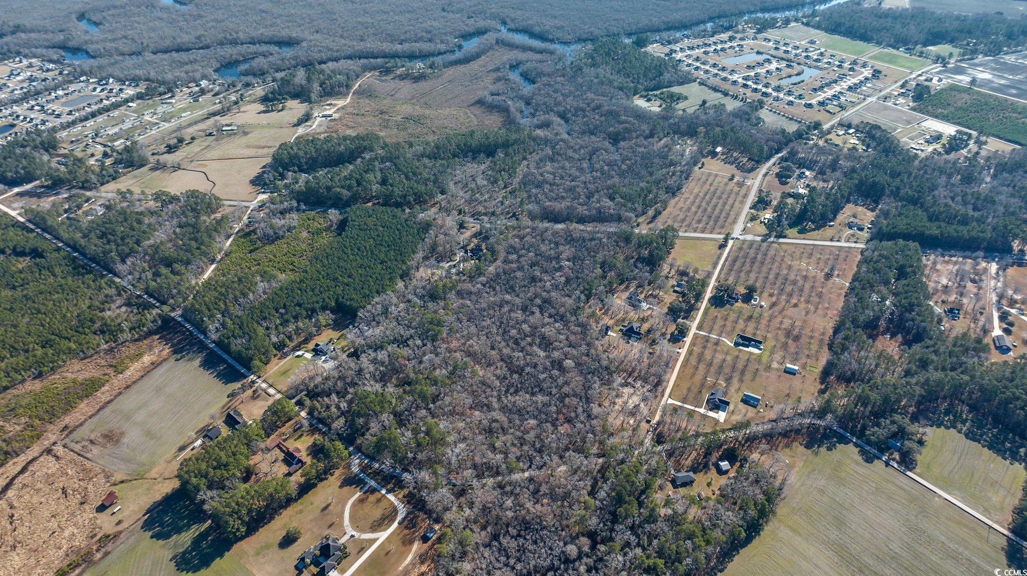 Tbd Reba Rd. Property Photo 9