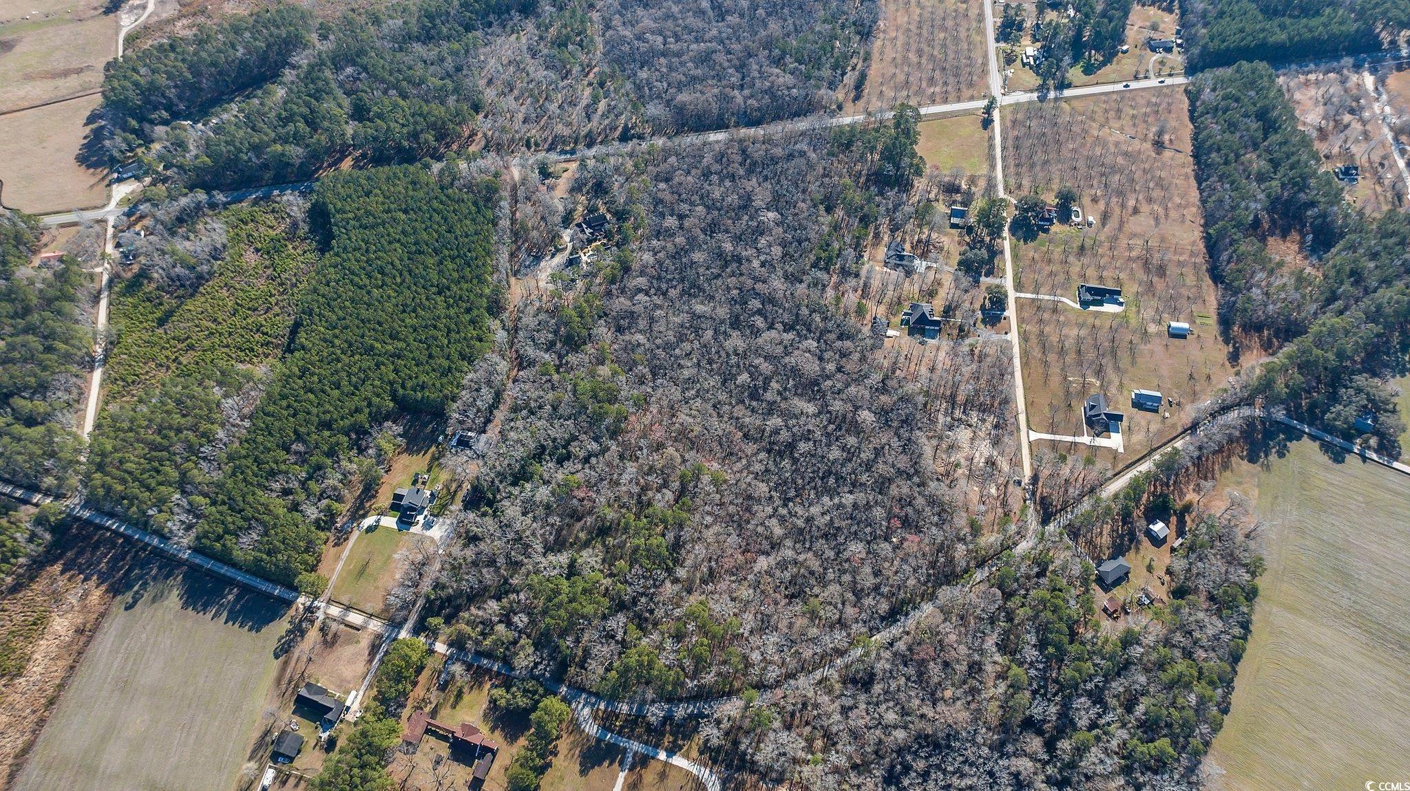 Tbd Reba Rd. Property Photo 11