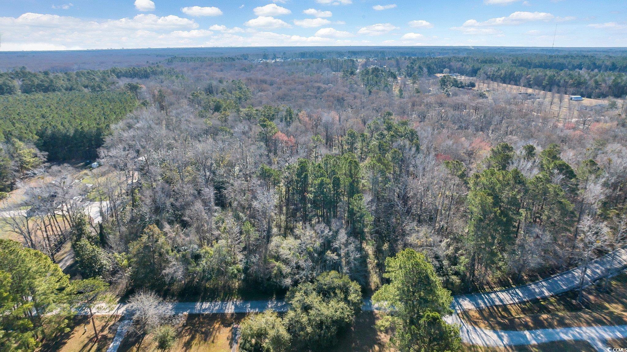 Tbd Reba Rd. Property Photo 13