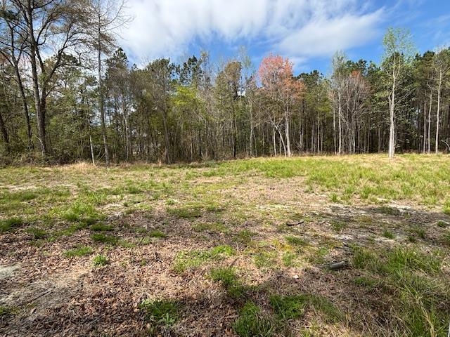 Lot 1 Coats Rd. Property Photo 9