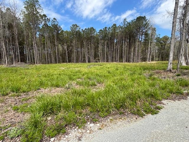 Lot 2 Coats Rd. Property Photo 2