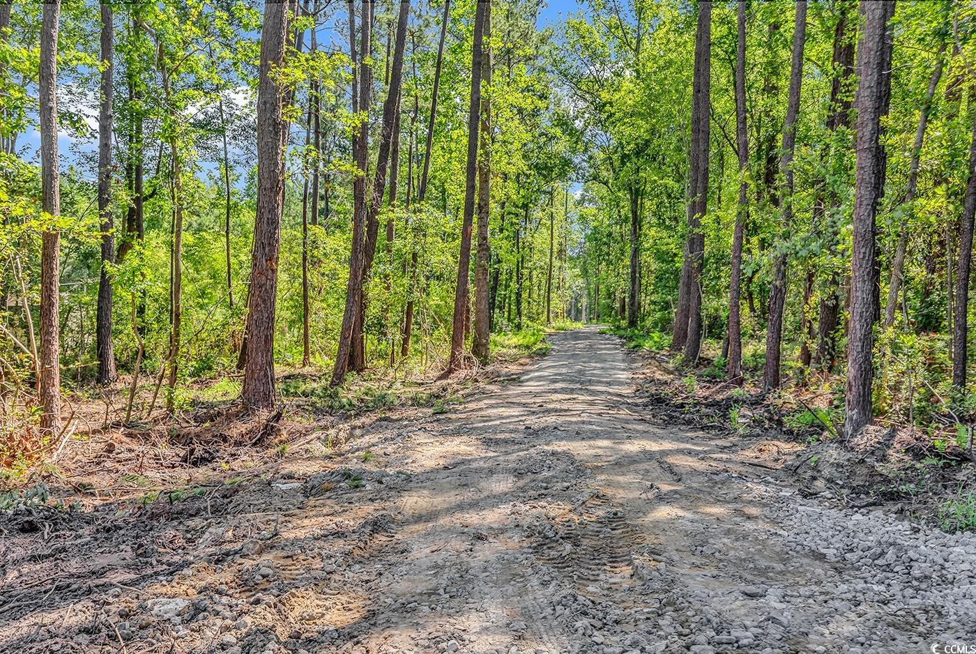 Lot 4 Coats Rd. Property Photo 5