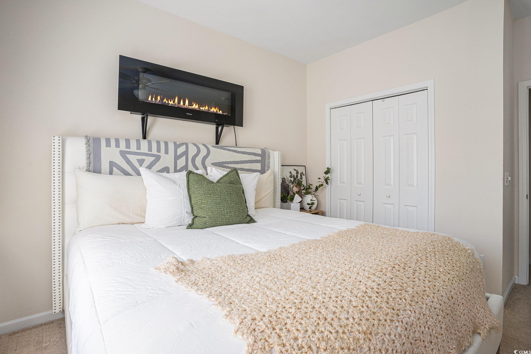 253 Carriage Lake Dr. Property Photo 15