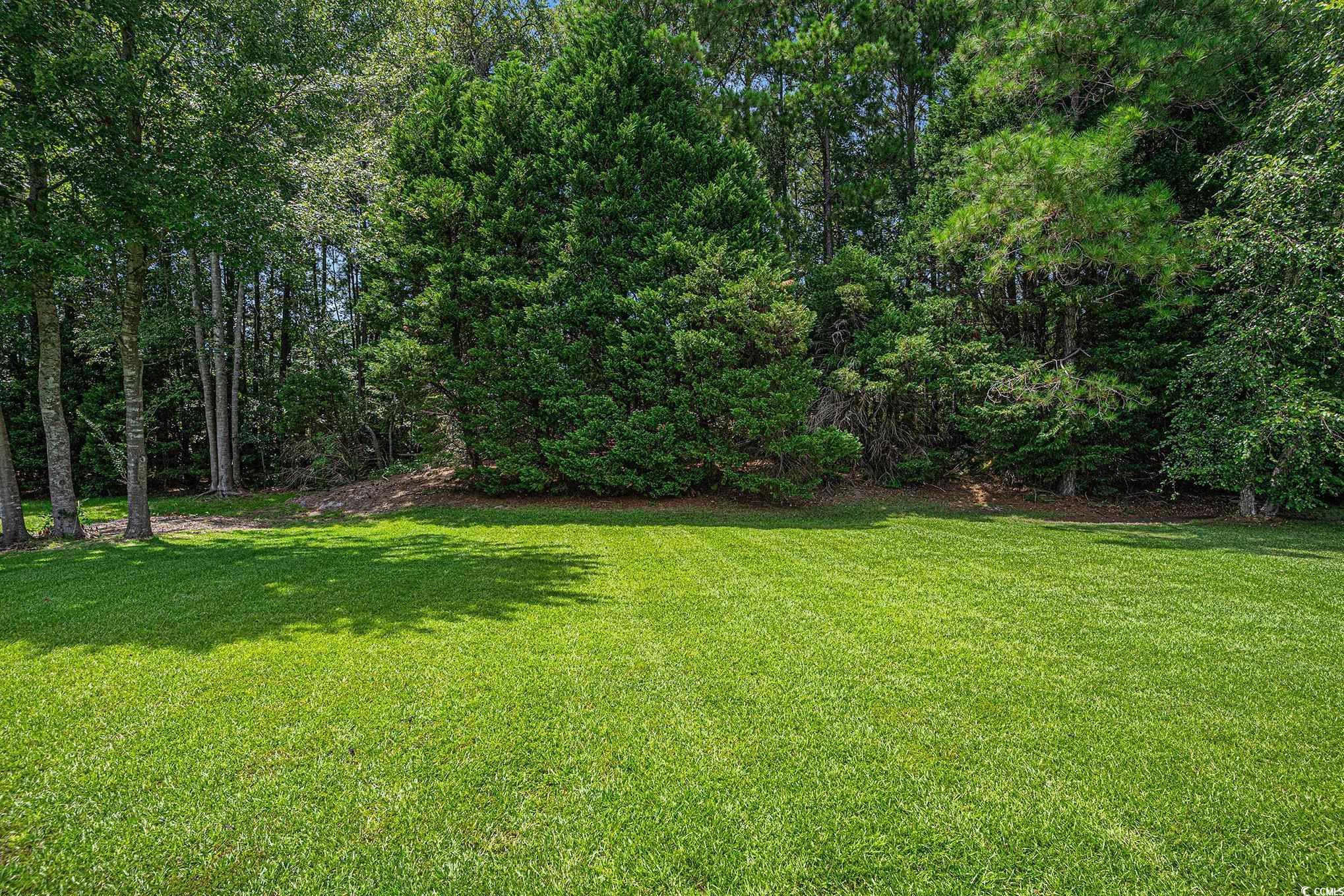 253 Carriage Lake Dr. Property Photo 26