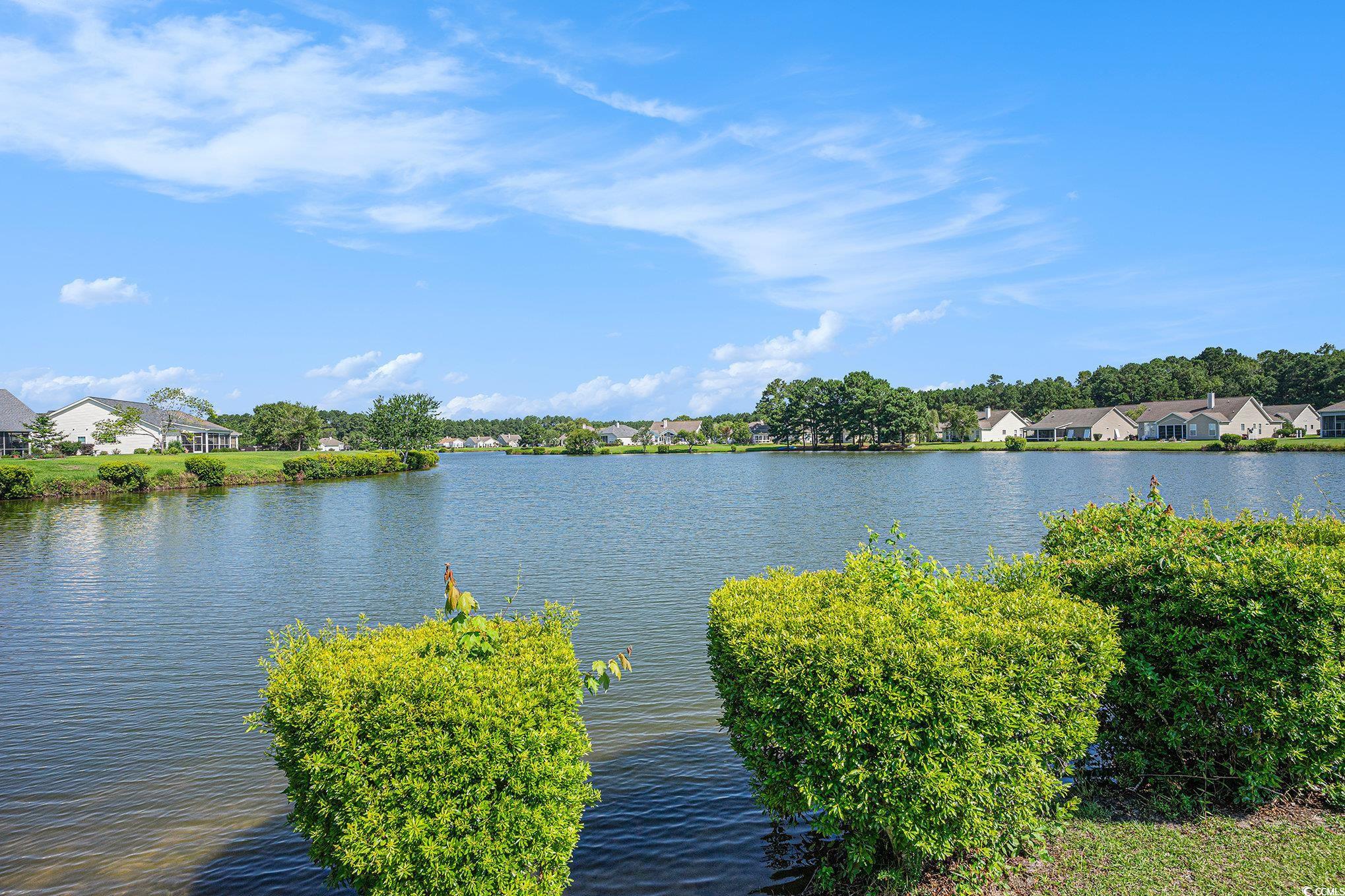 253 Carriage Lake Dr. Property Photo 29