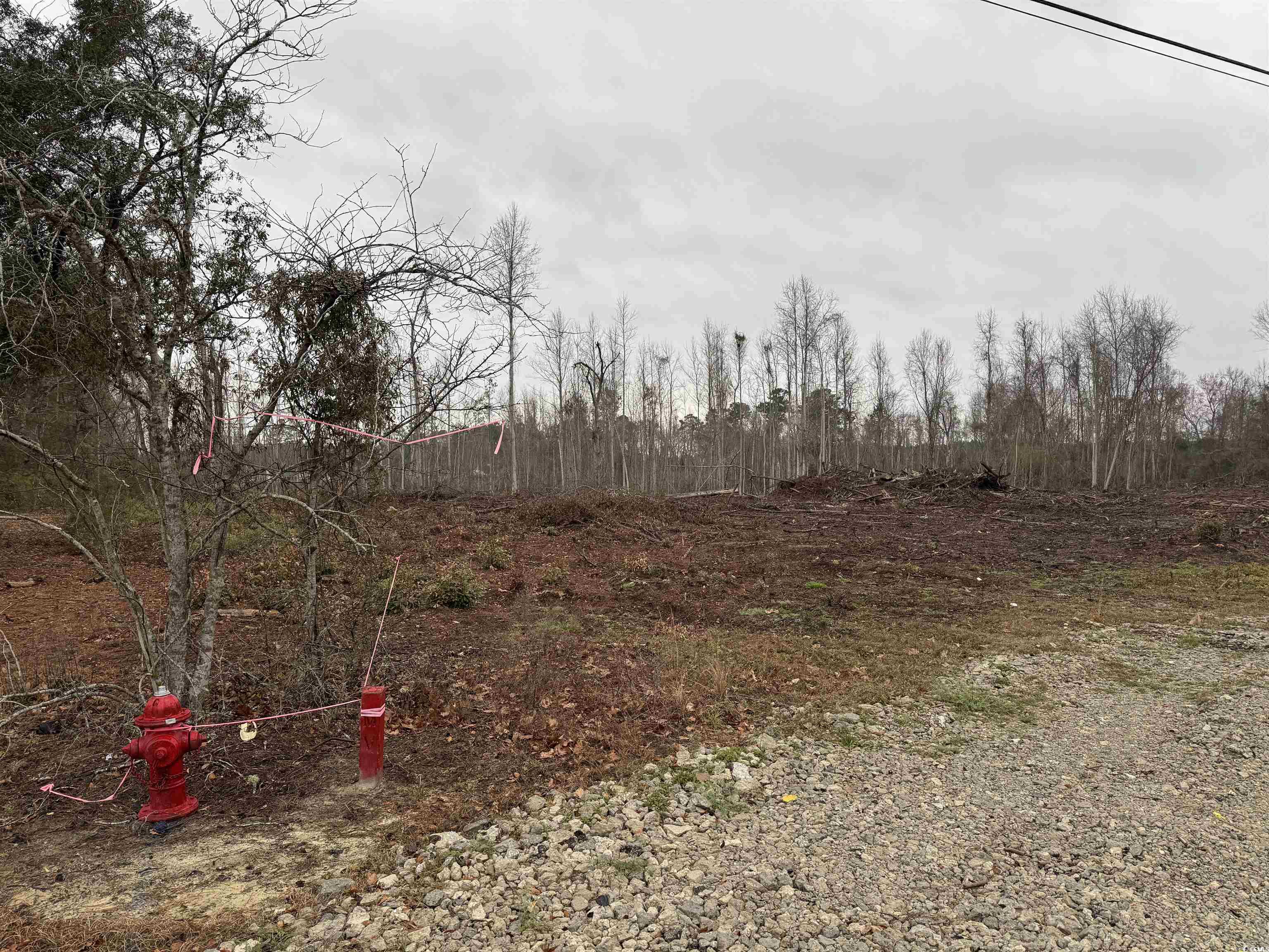 Tbd Highway 905 Property Photo 2