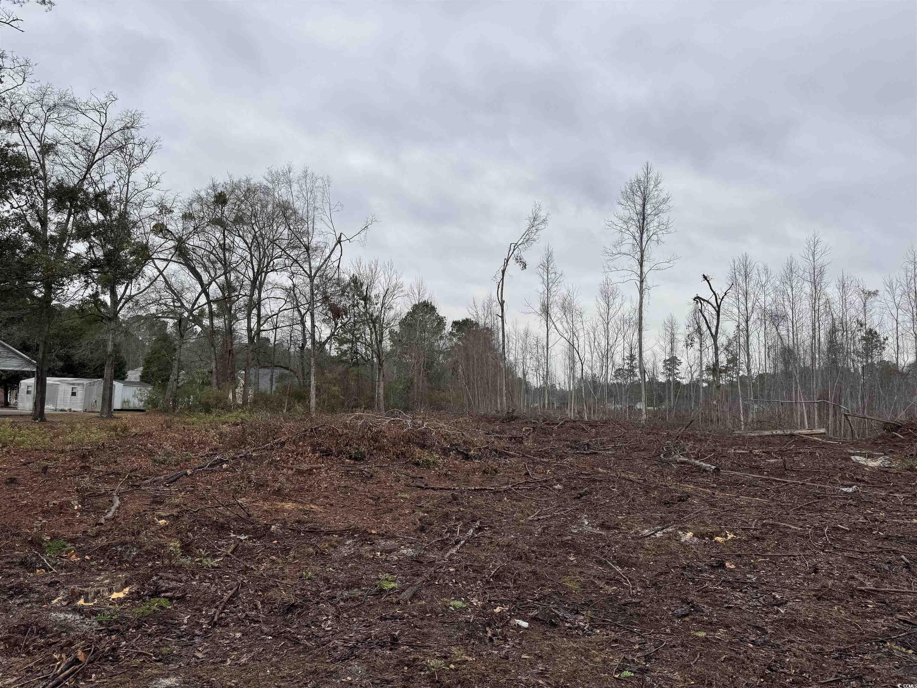 Tbd Highway 905 Property Photo 4