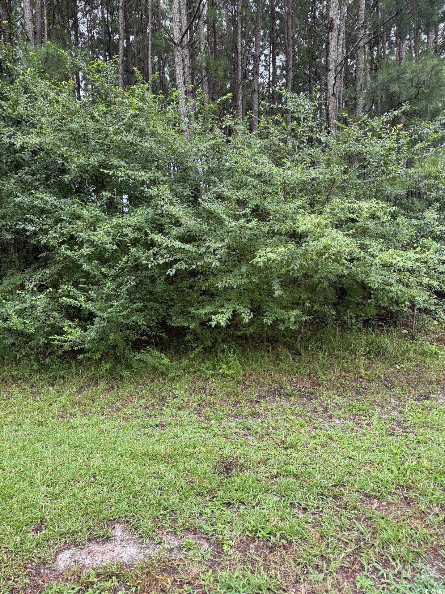 Tbd Louisville Rd. Property Photo 1