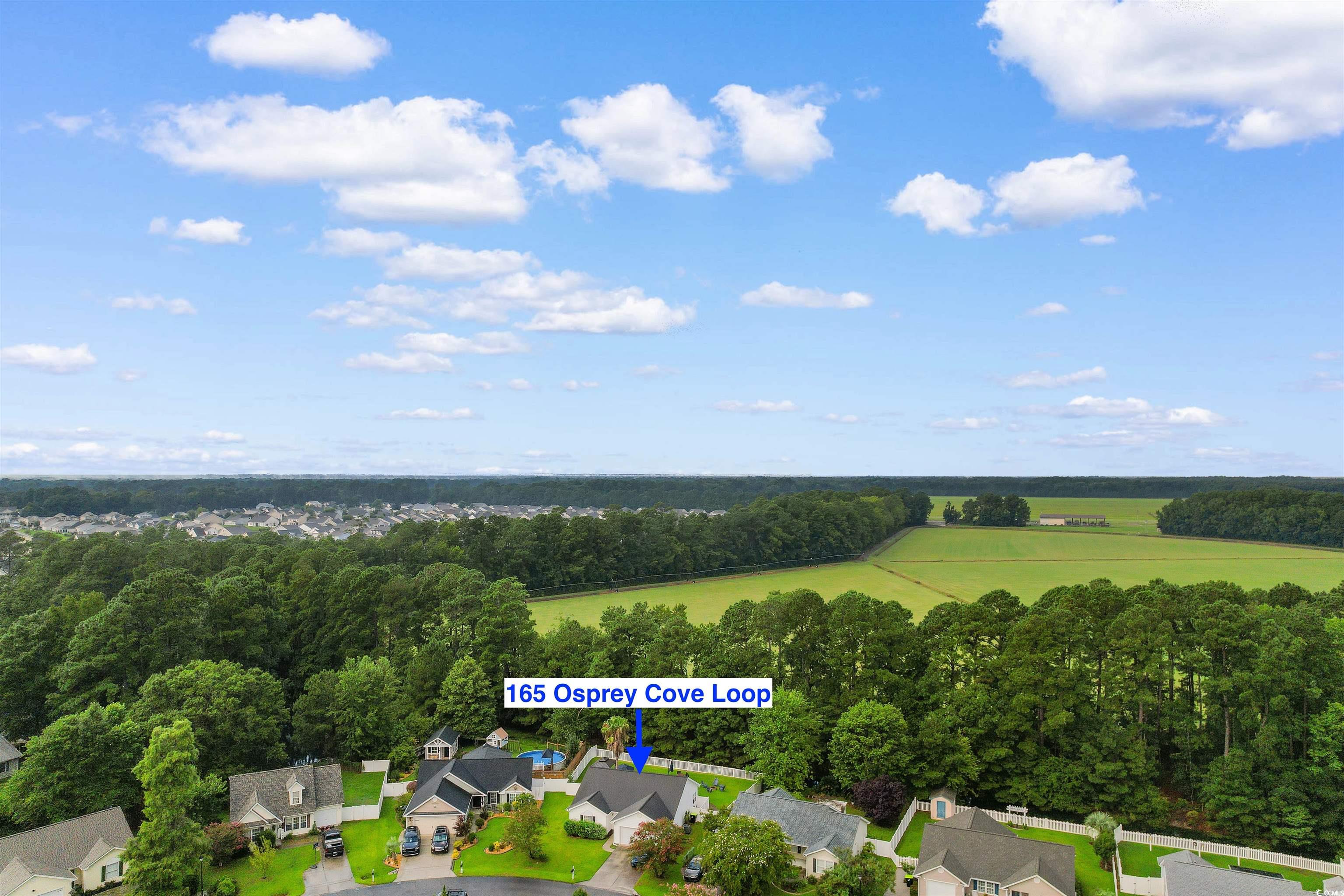 165 Osprey Cove Loop Property Photo 33