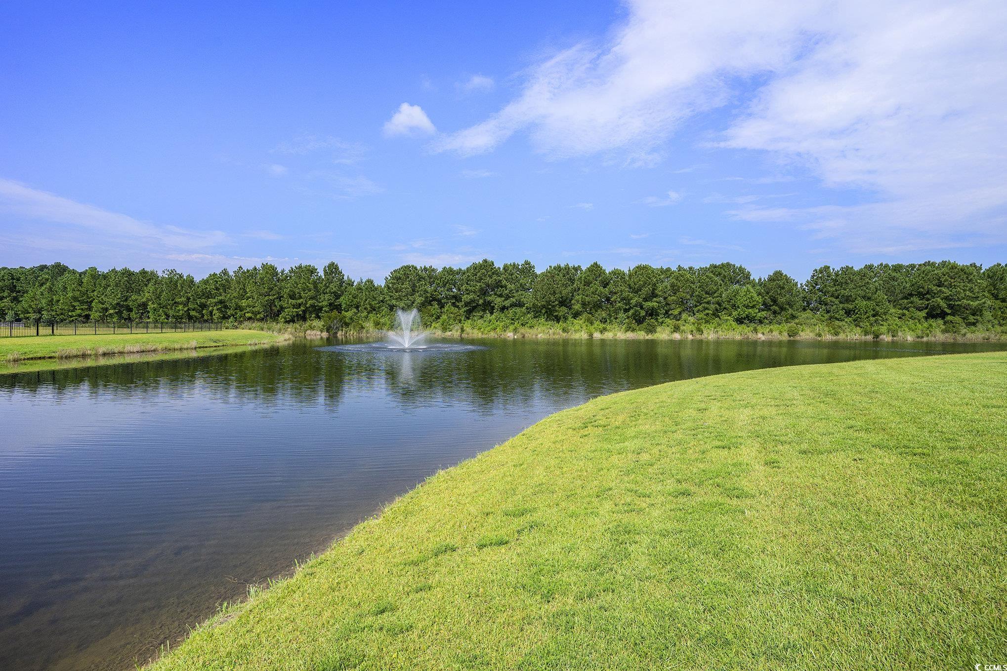 1044 Caprisia Loop Property Photo 38