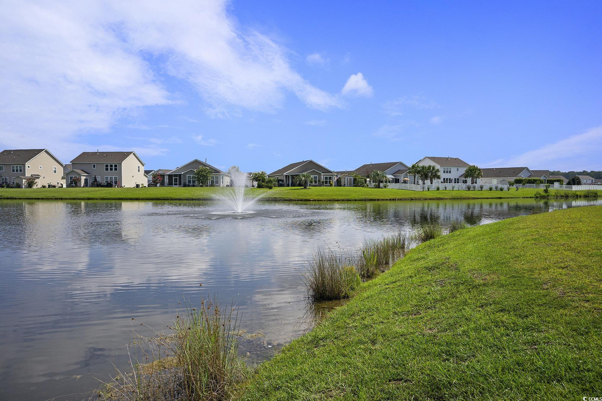 1044 Caprisia Loop Property Photo 39